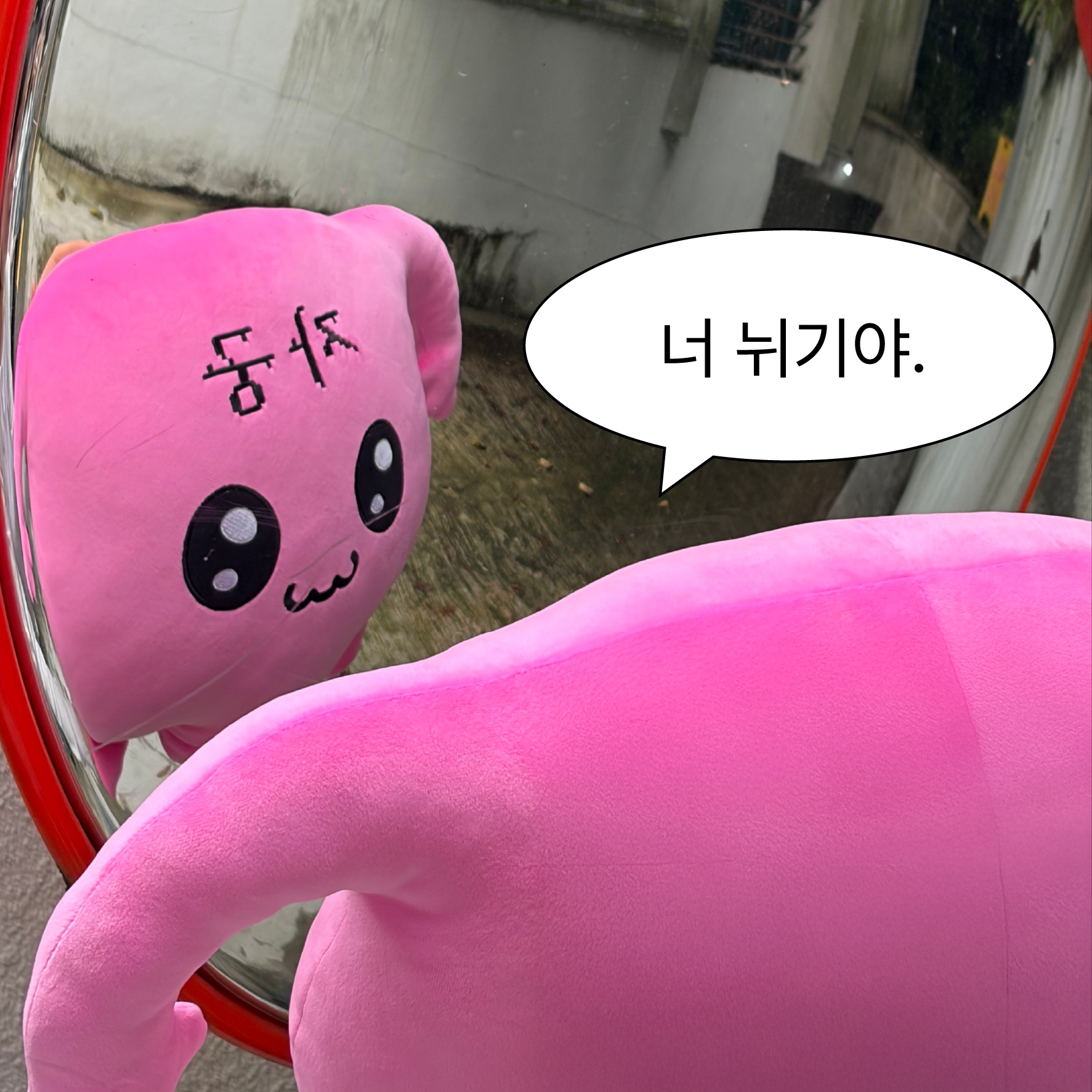 자궁이 모찌쿠션