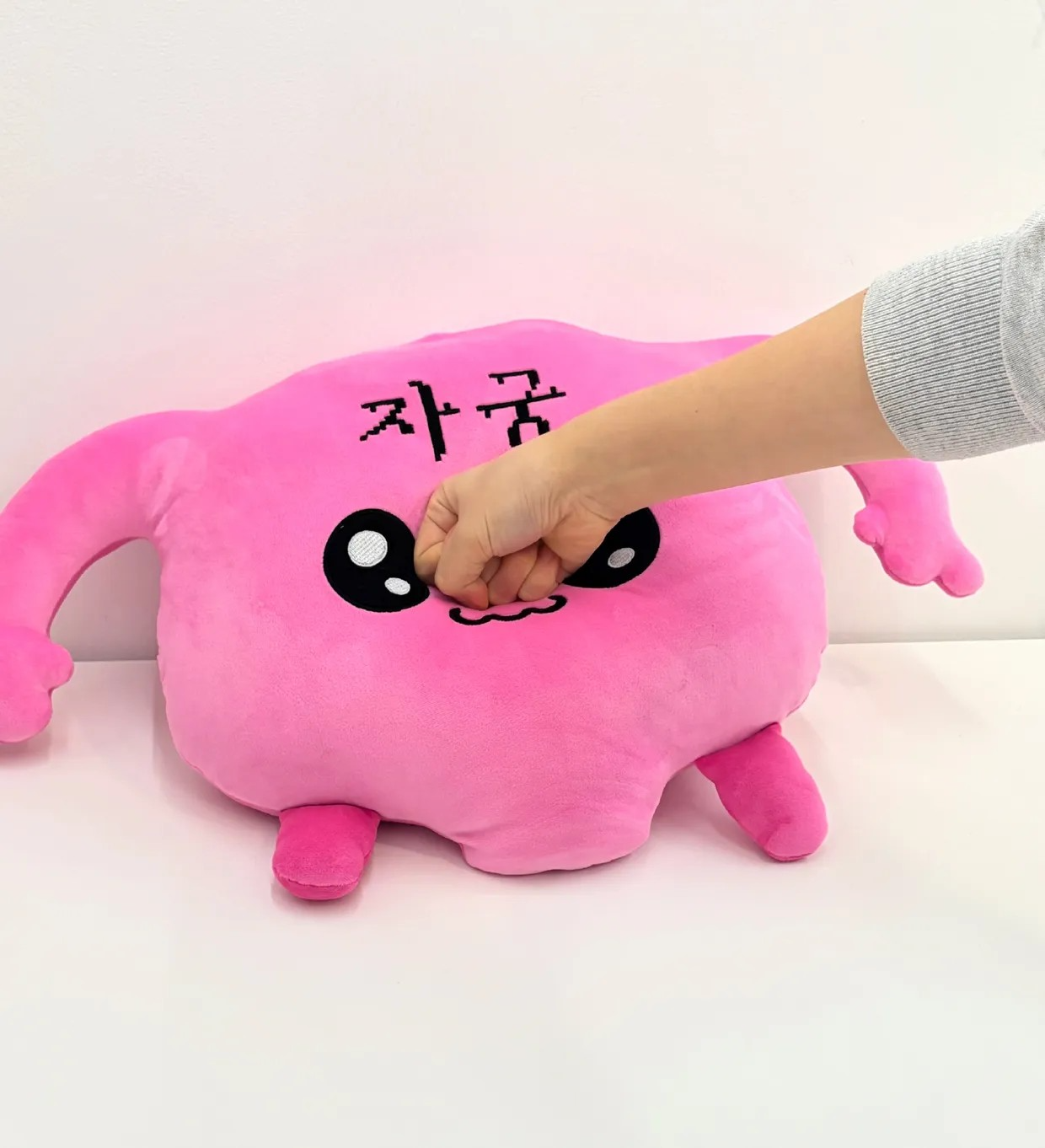 자궁이 모찌쿠션