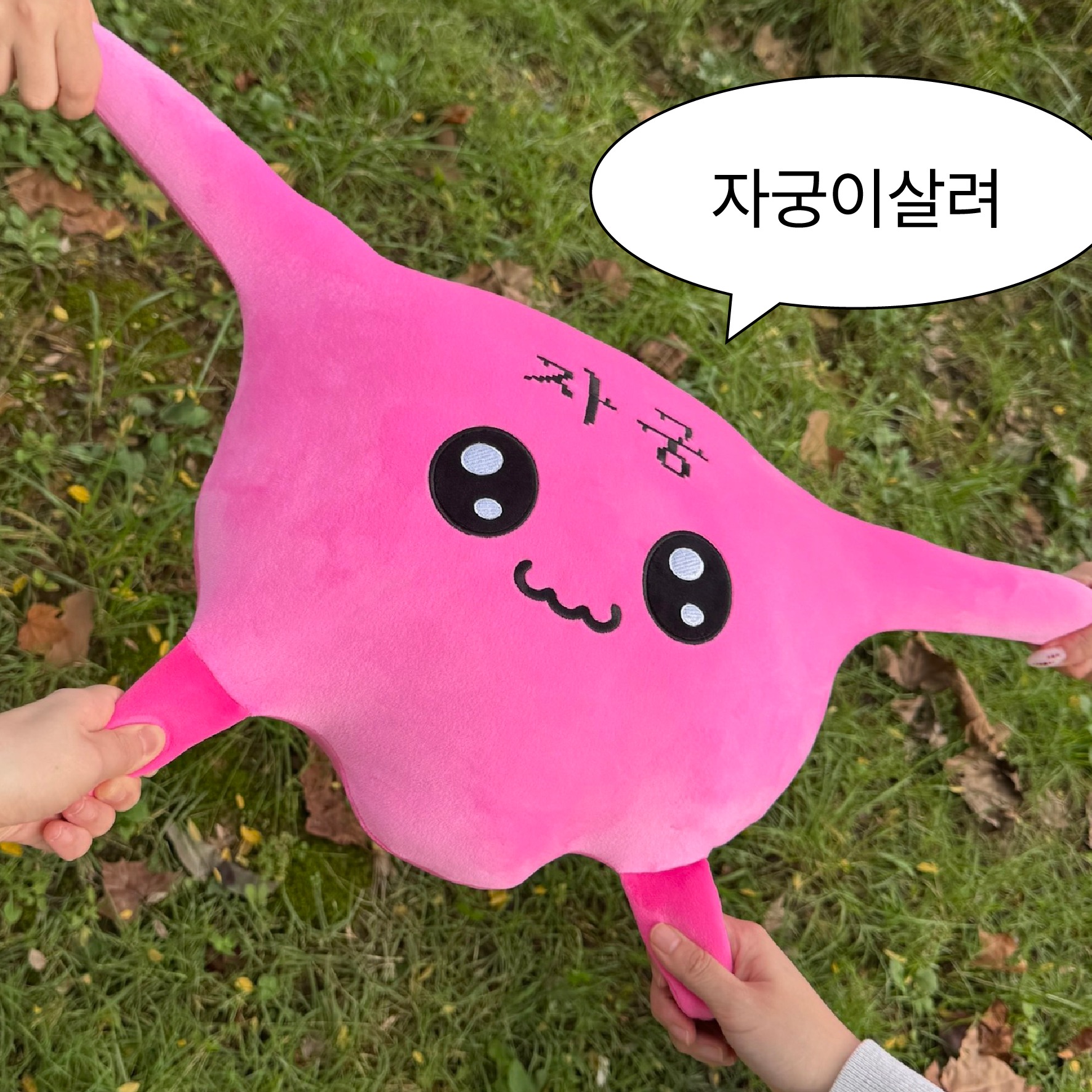 자궁이 모찌쿠션