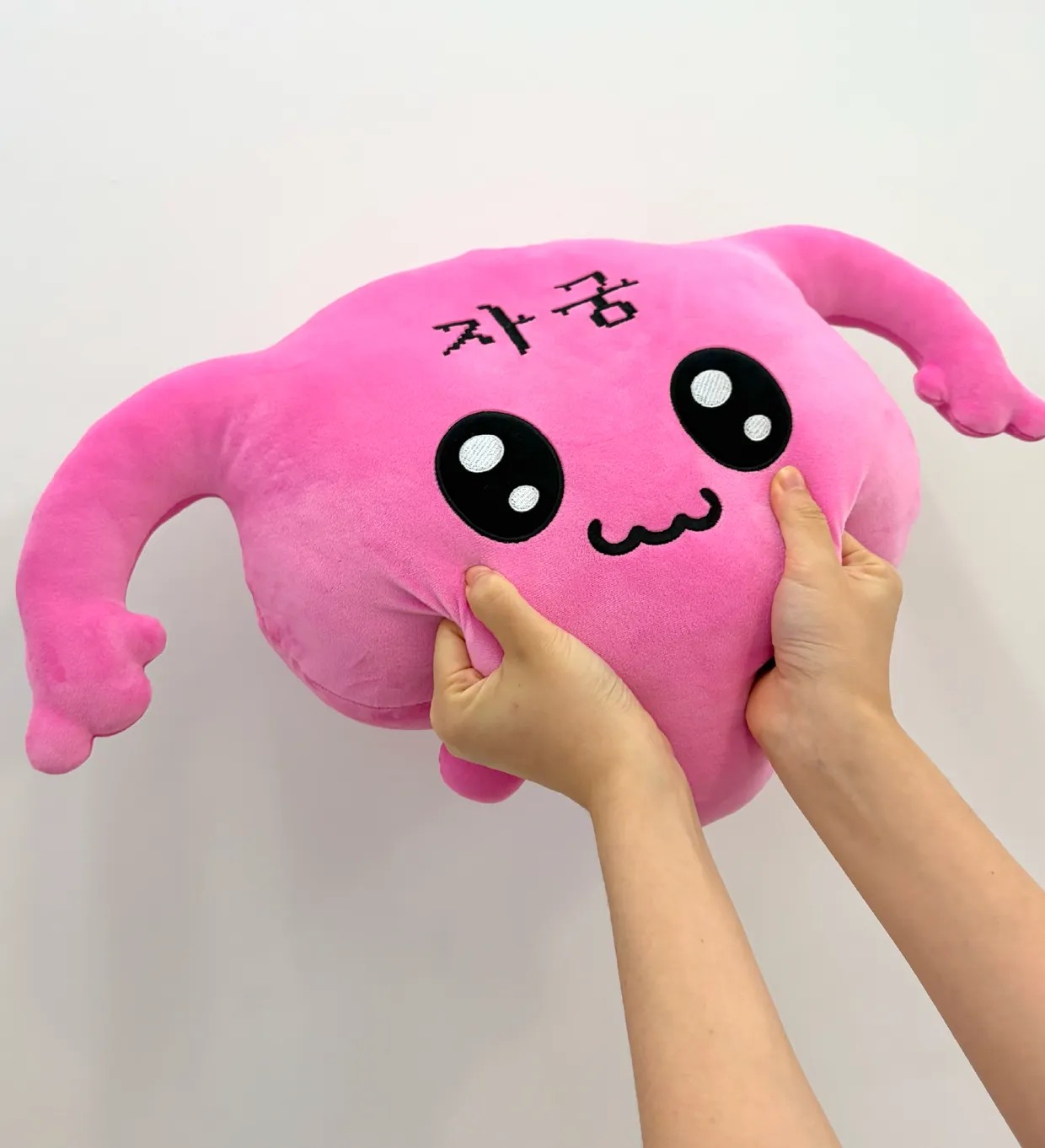 자궁이 모찌쿠션