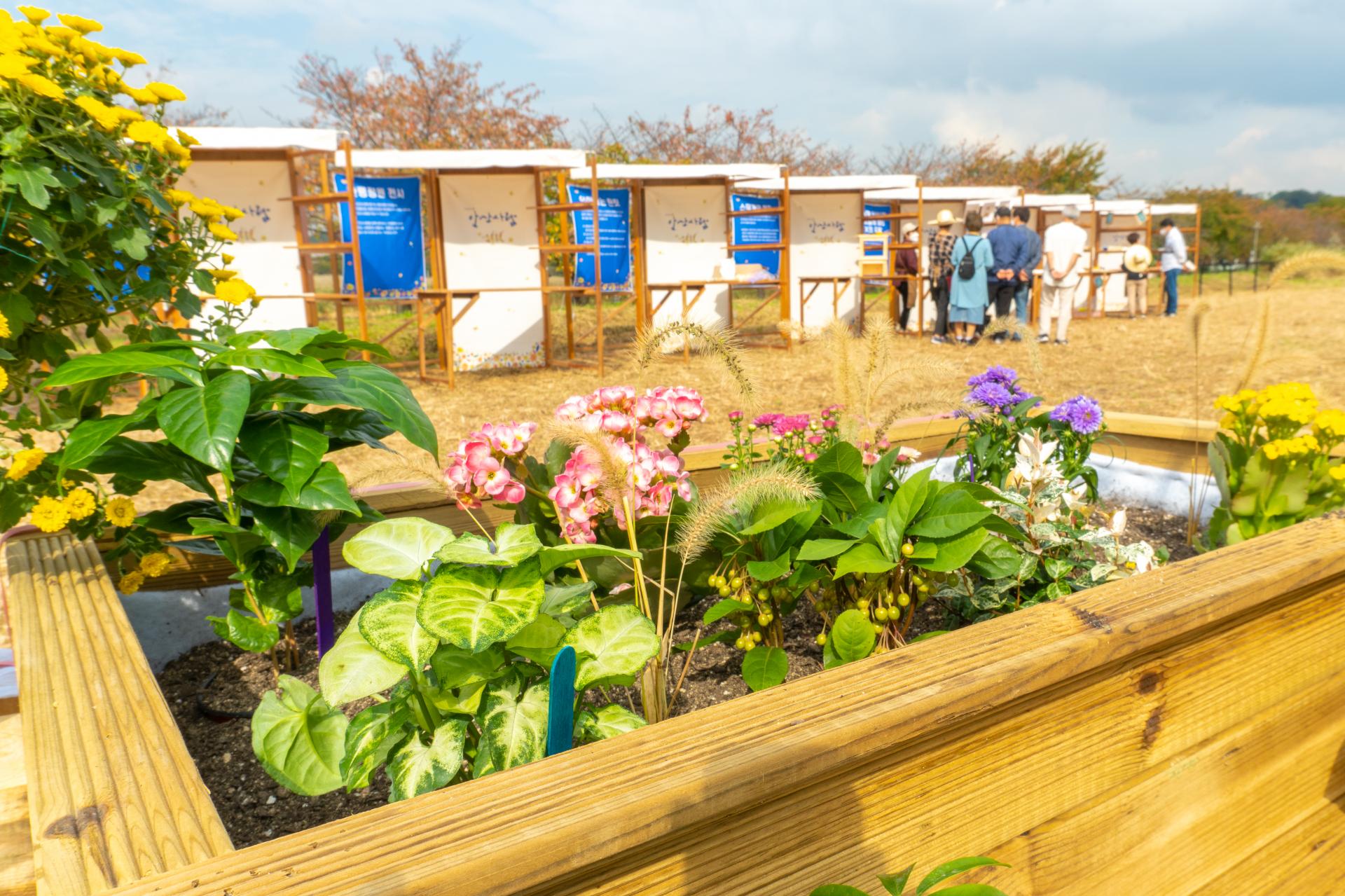 안산사람 (3).jpg