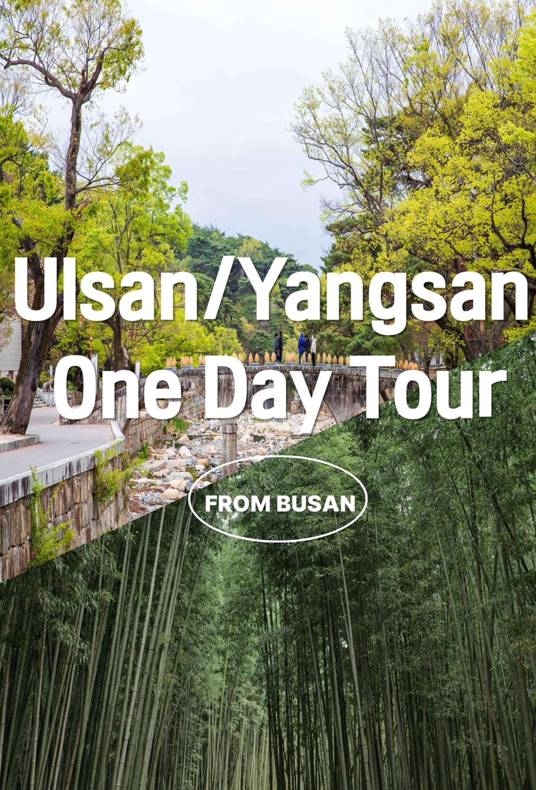 [BTO-Exclusive] Ulsan & Yangsan One Day Tour