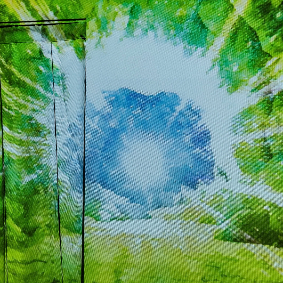 3d662d3af9625.png