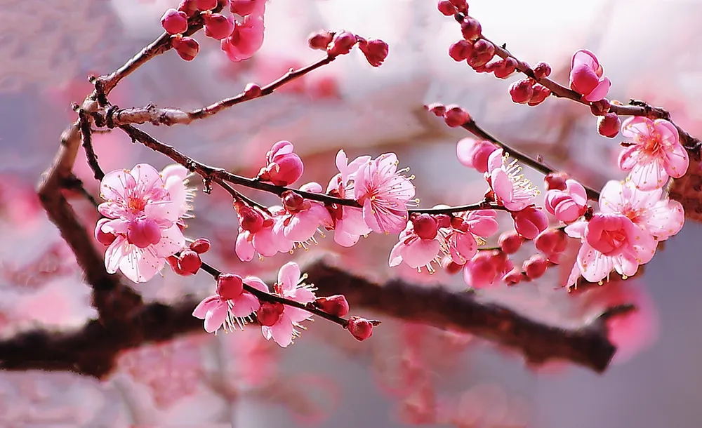 4c512372f90e9.png