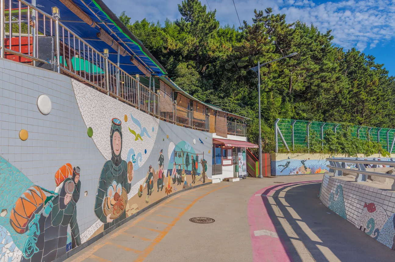 Yeongdo Haenyeo Village Tour in Busan