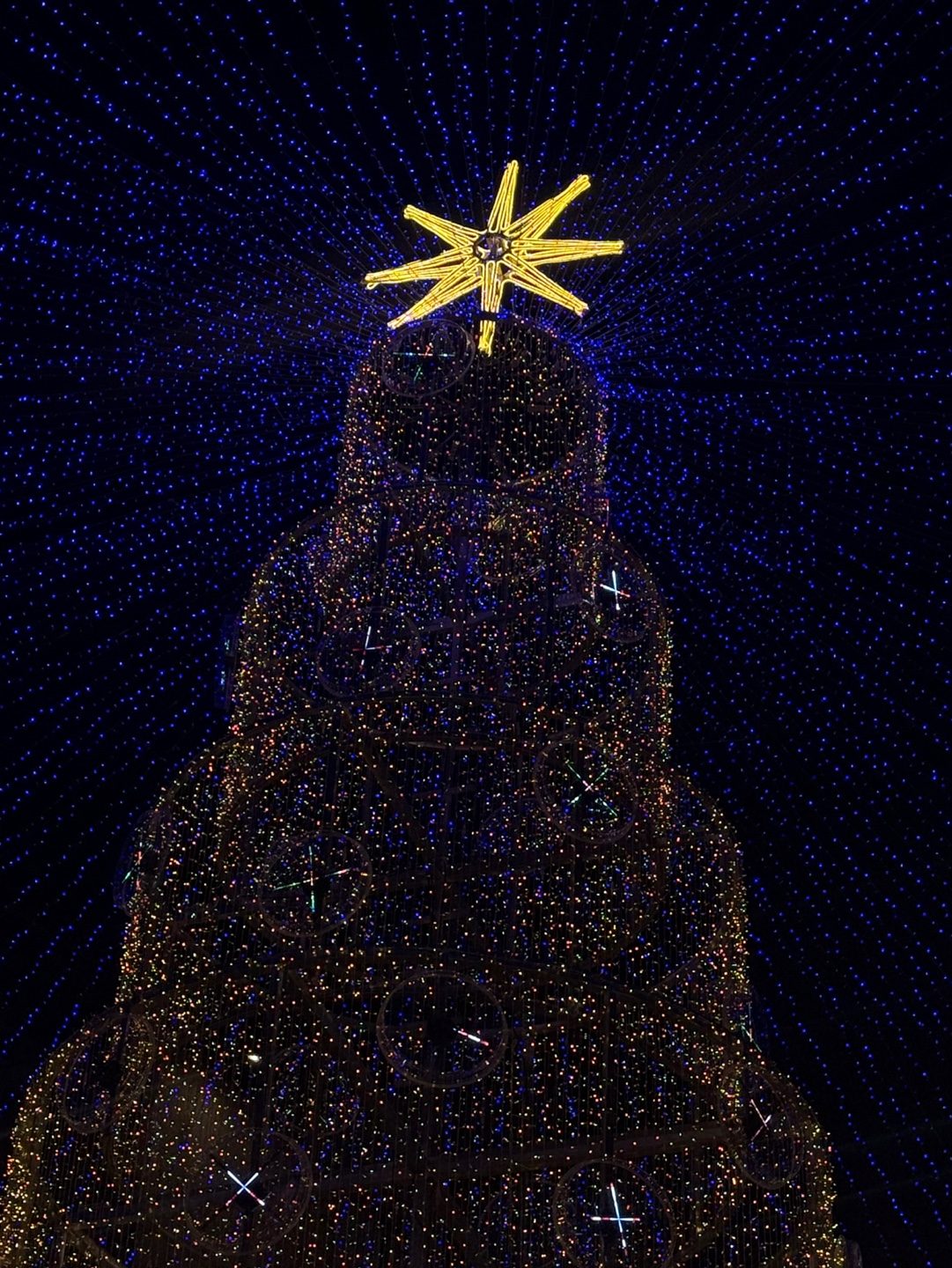 5824331a3ddd2.png