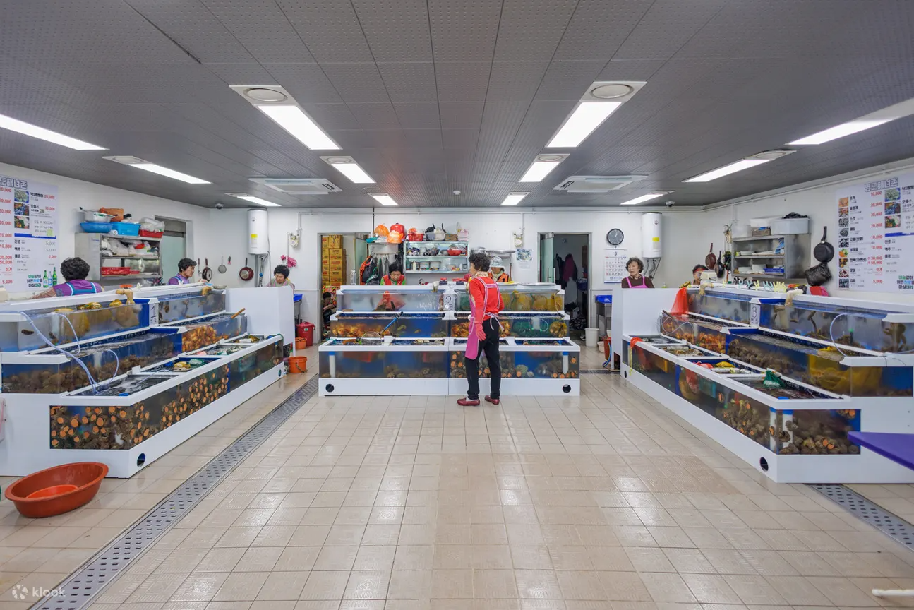 Meet a real haenyeo and hear her personal story about life beneath the waves. Her firsthand account offers a rare and touching glimpse into a world few get to experience. Through laughter and heartfelt stories, you'll see the ocean—and its people—in a who