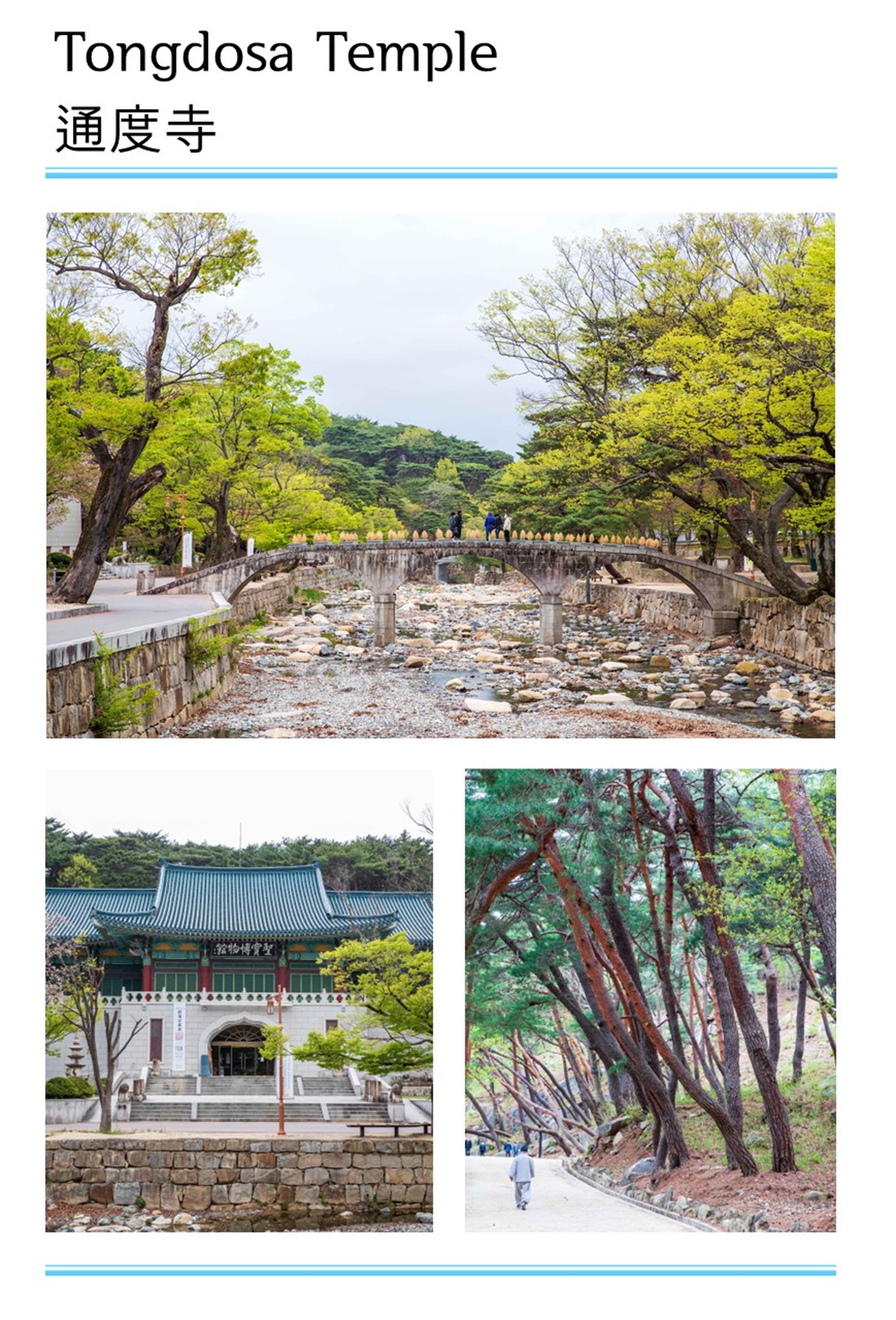 [BTO-Exclusive] Ulsan & Yangsan One Day Tour
