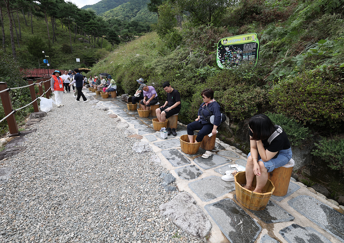 [KTO-Exclusive] Geochang Purple Aster Festival & Sancheong Herbal Medicine Day Tour