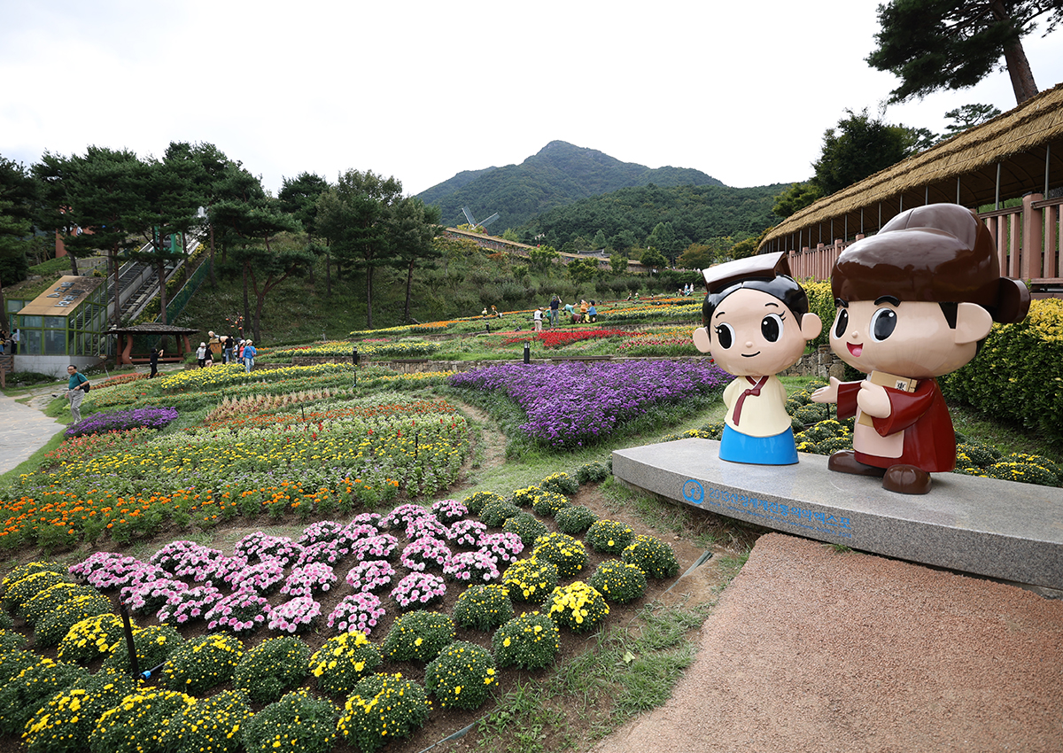 [KTO-Exclusive] Geochang Purple Aster Festival & Sancheong Herbal Medicine Day Tour