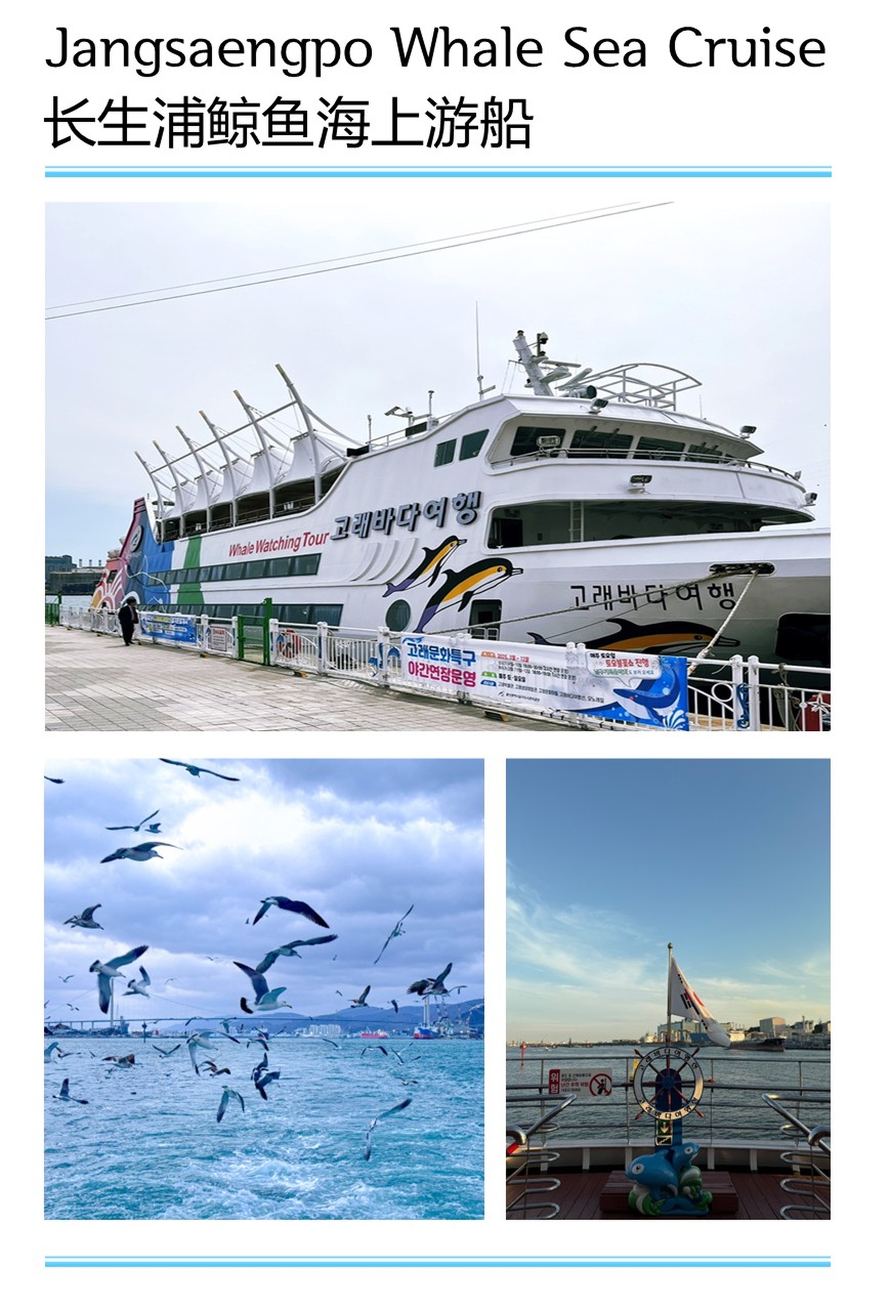 [BTO-Exclusive] Ulsan & Yangsan One Day Tour
