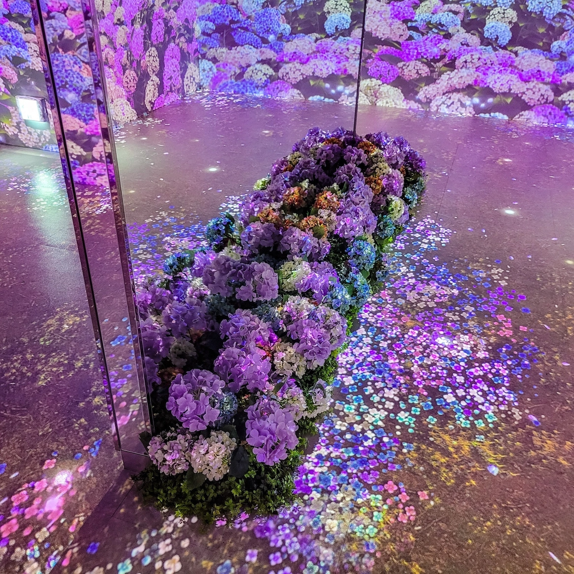 84f8125de7cf6.png