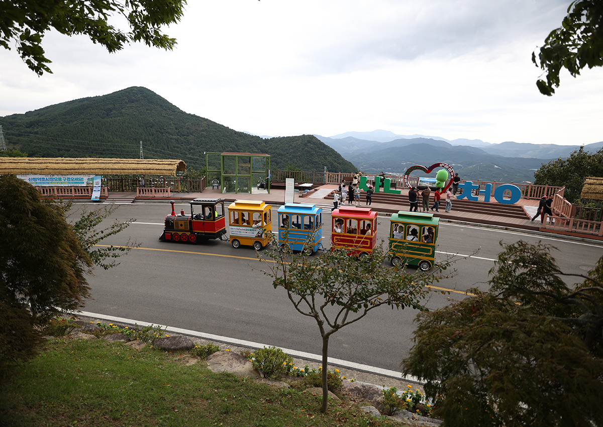 [KTO-Exclusive] Geochang Purple Aster Festival & Sancheong Herbal Medicine Day Tour