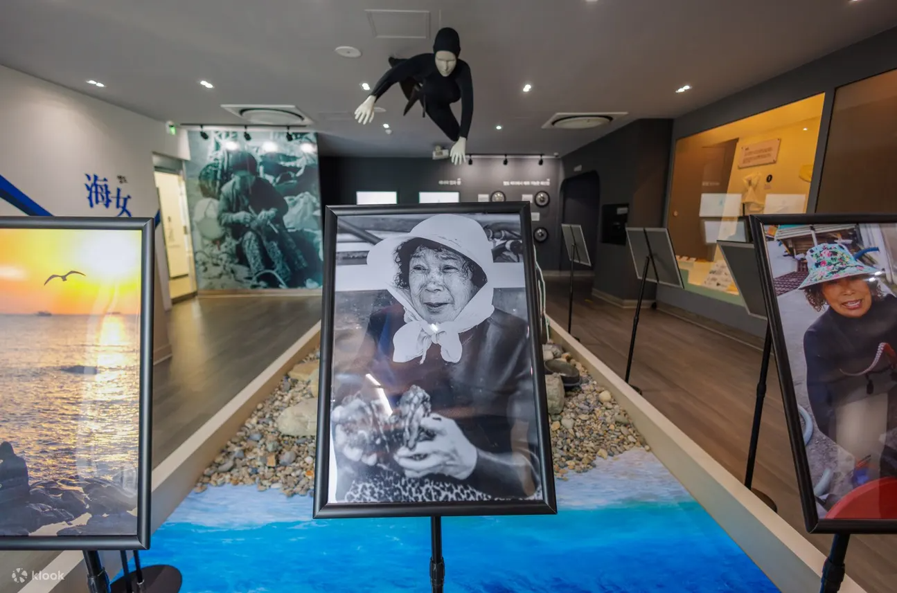 Yeongdo Haenyeo Village Tour in Busan