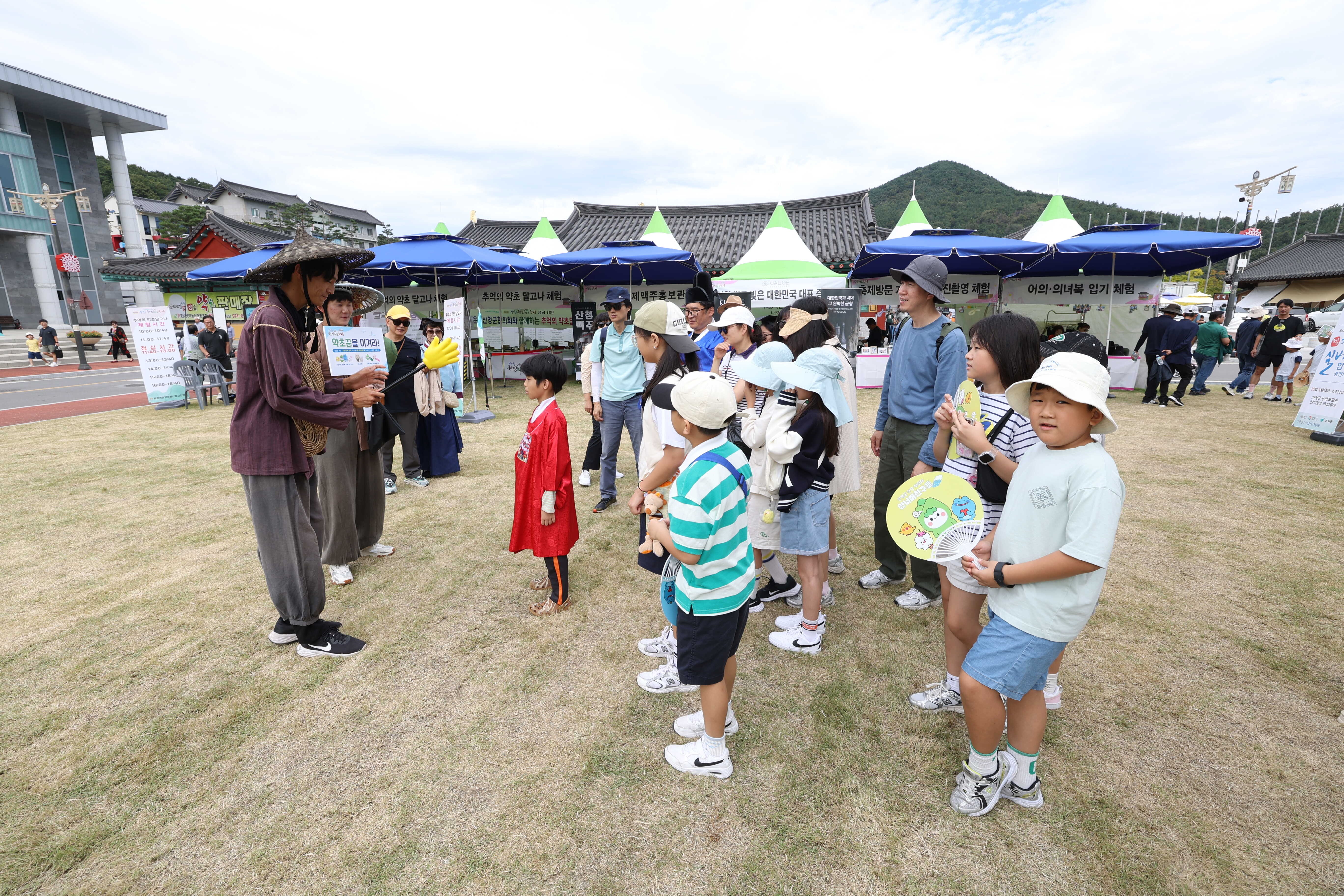 [KTO-Exclusive] Geochang Purple Aster Festival & Sancheong Herbal Medicine Day Tour