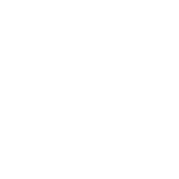 파메어스 설립 아이콘
