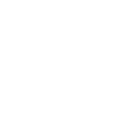 파메어스 매출액