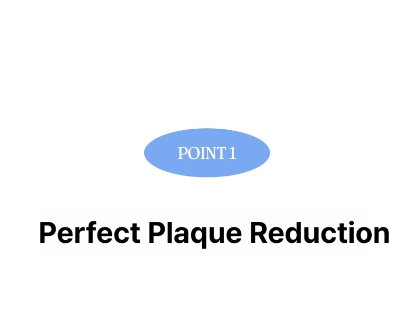 PROVAL White Therapic Electric Toothbrush