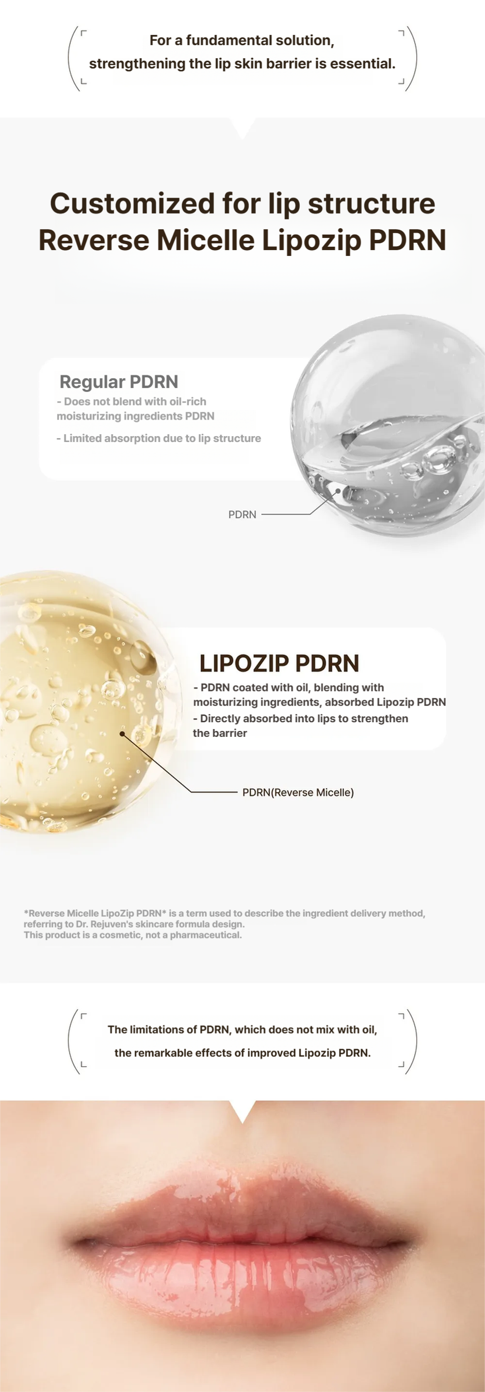 Dr.Reju-All Advanced PDRN Rejuvenating Lip Serum 10ml