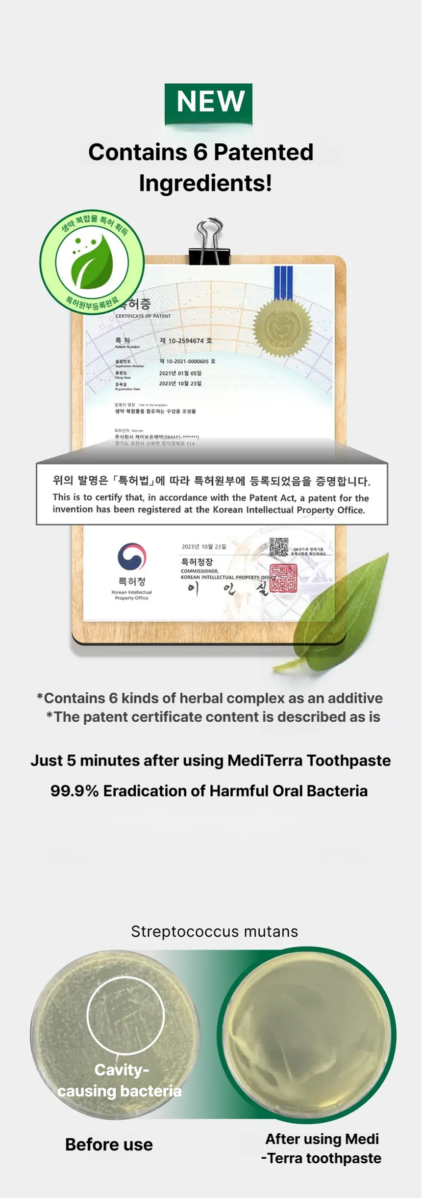 PROVAL Mediterra toothpaste for gum disease