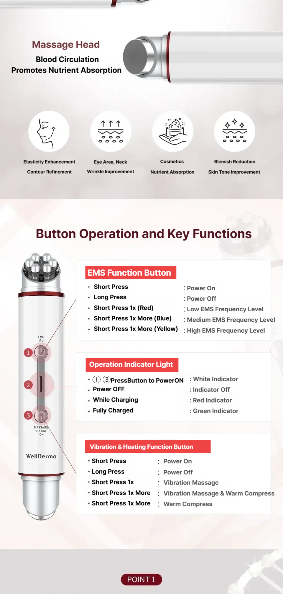 WELLDERMA EMS Galvanic Total Care System
