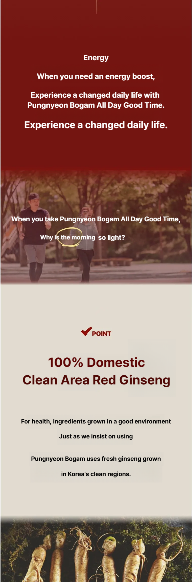Pungnyeonbogam 6-Year-Old Goryeo Red Ginseng Extract All Day Good Time Red Ginseng Sticks 10g x 10 Packets Bulk Packaging
