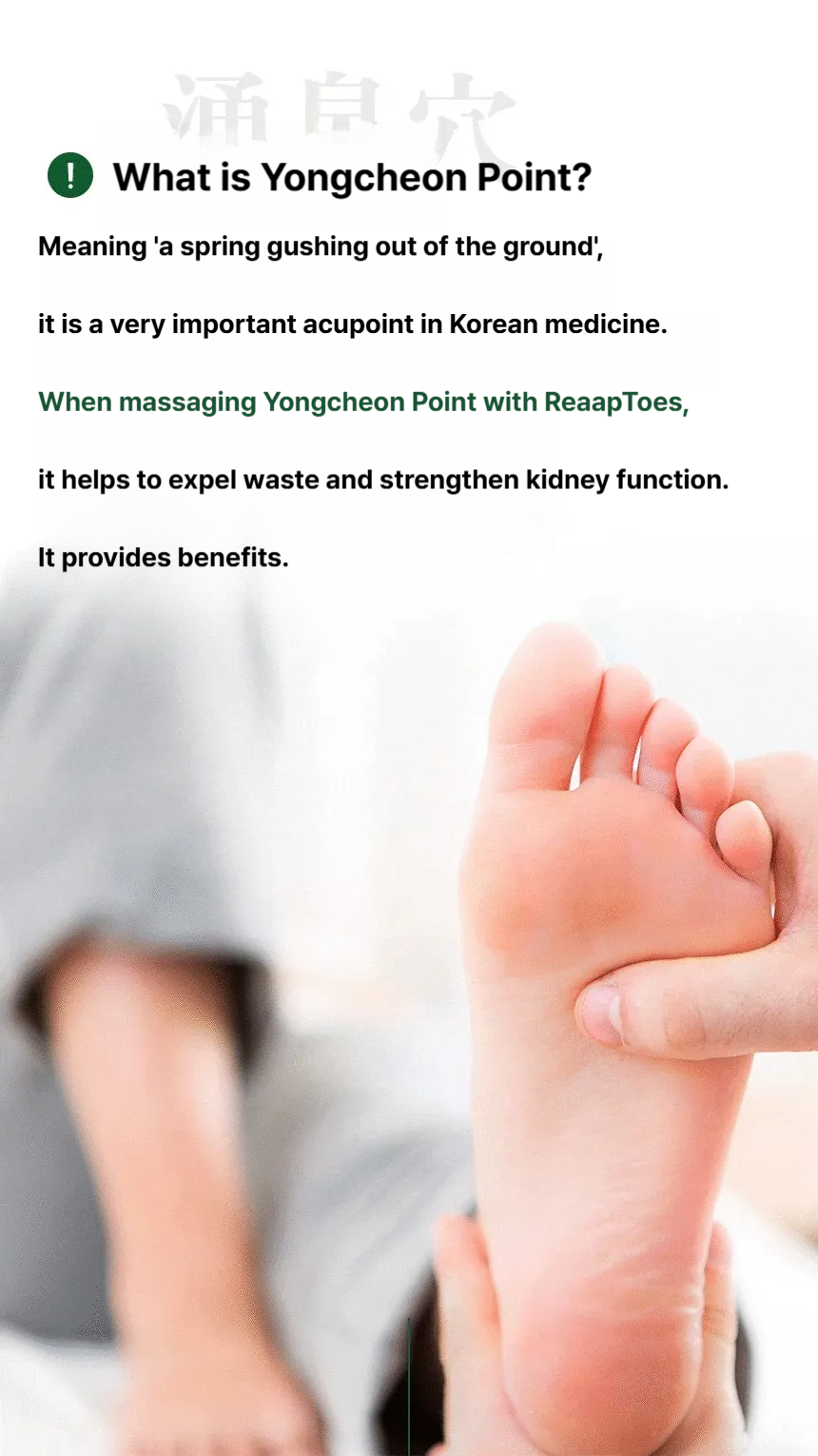 DIET SCHOOL Reaap Toes