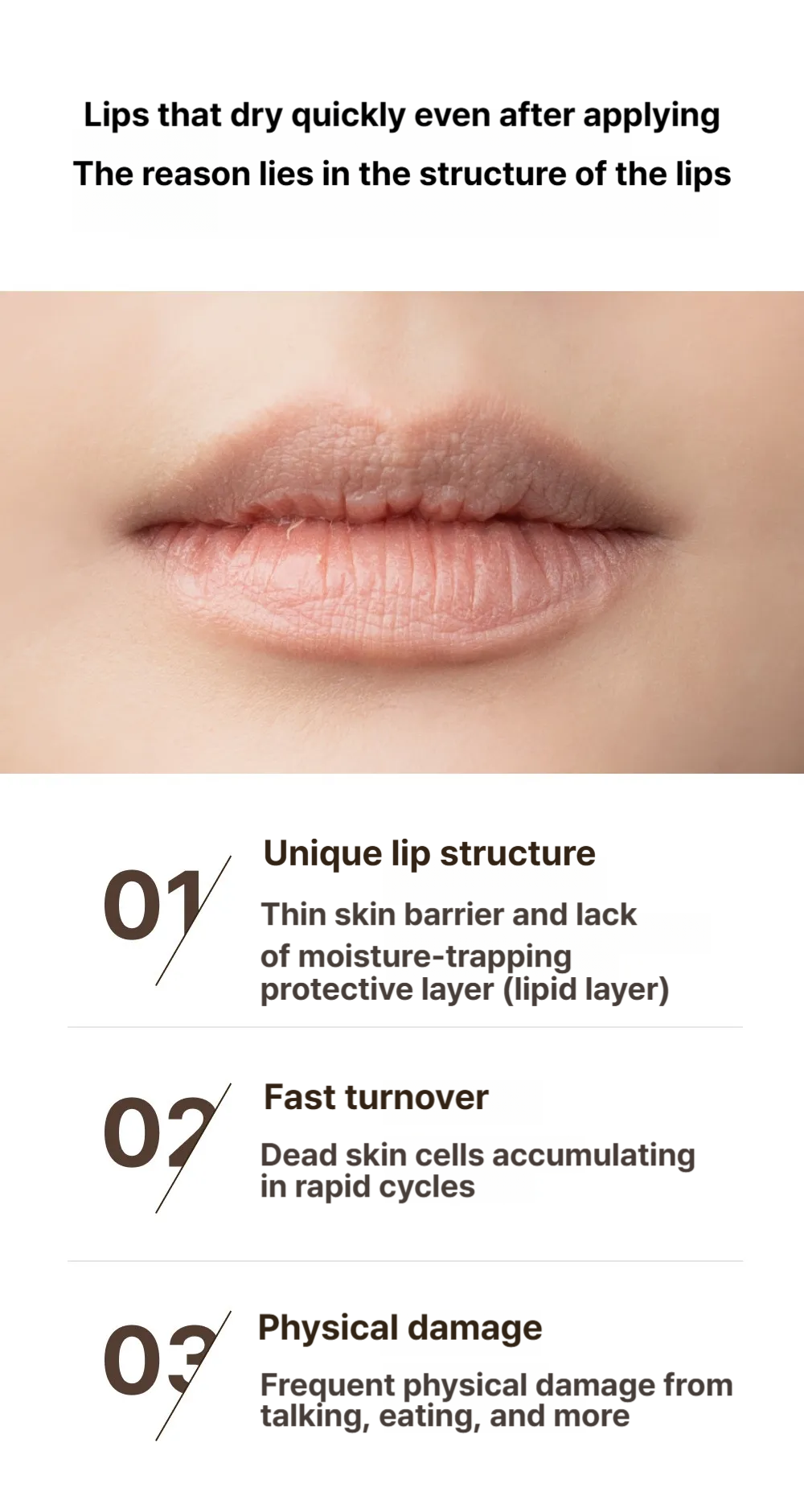 Dr.Reju-All Advanced PDRN Rejuvenating Lip Serum 10ml