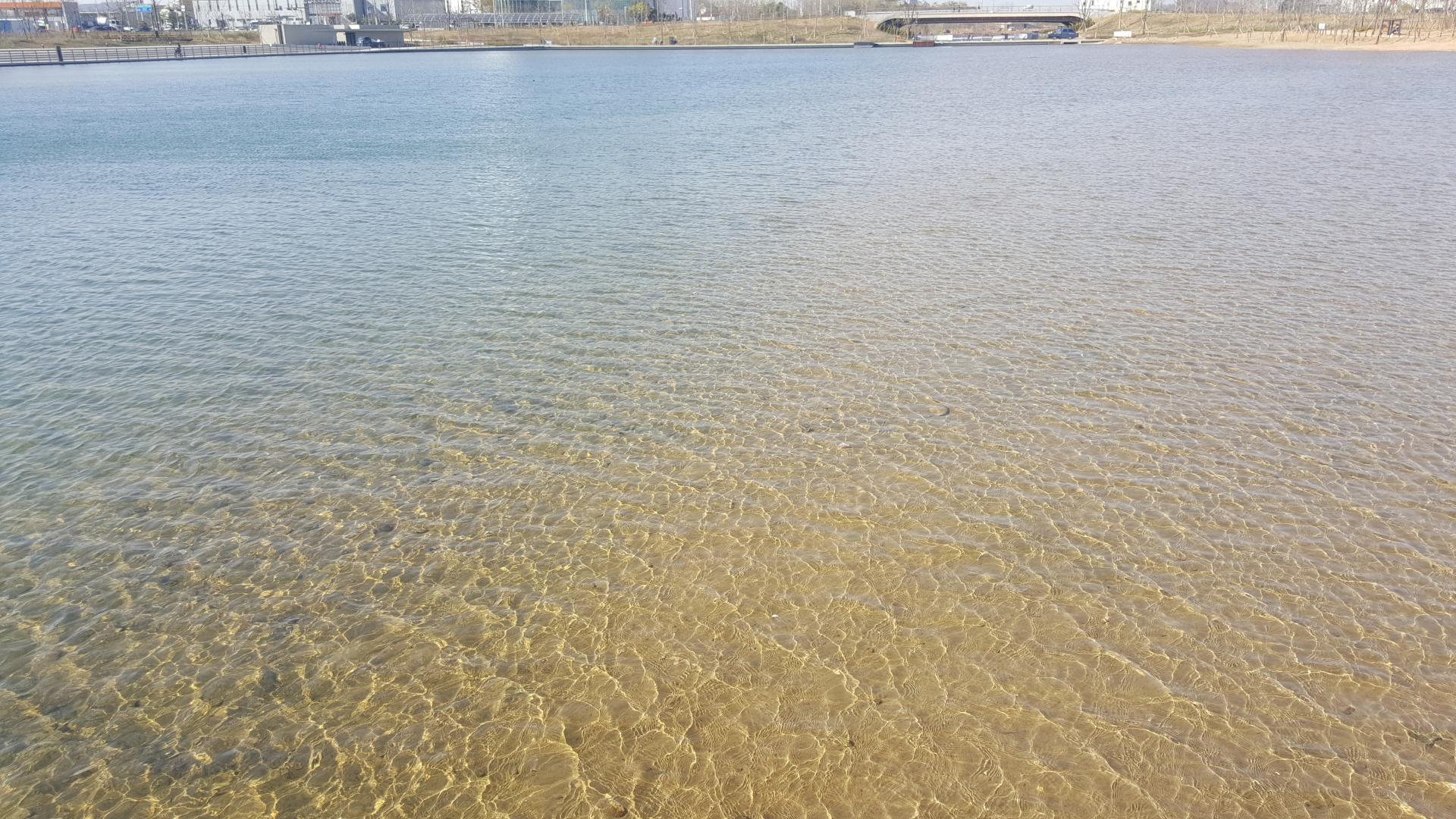 20190415_155621.jpg