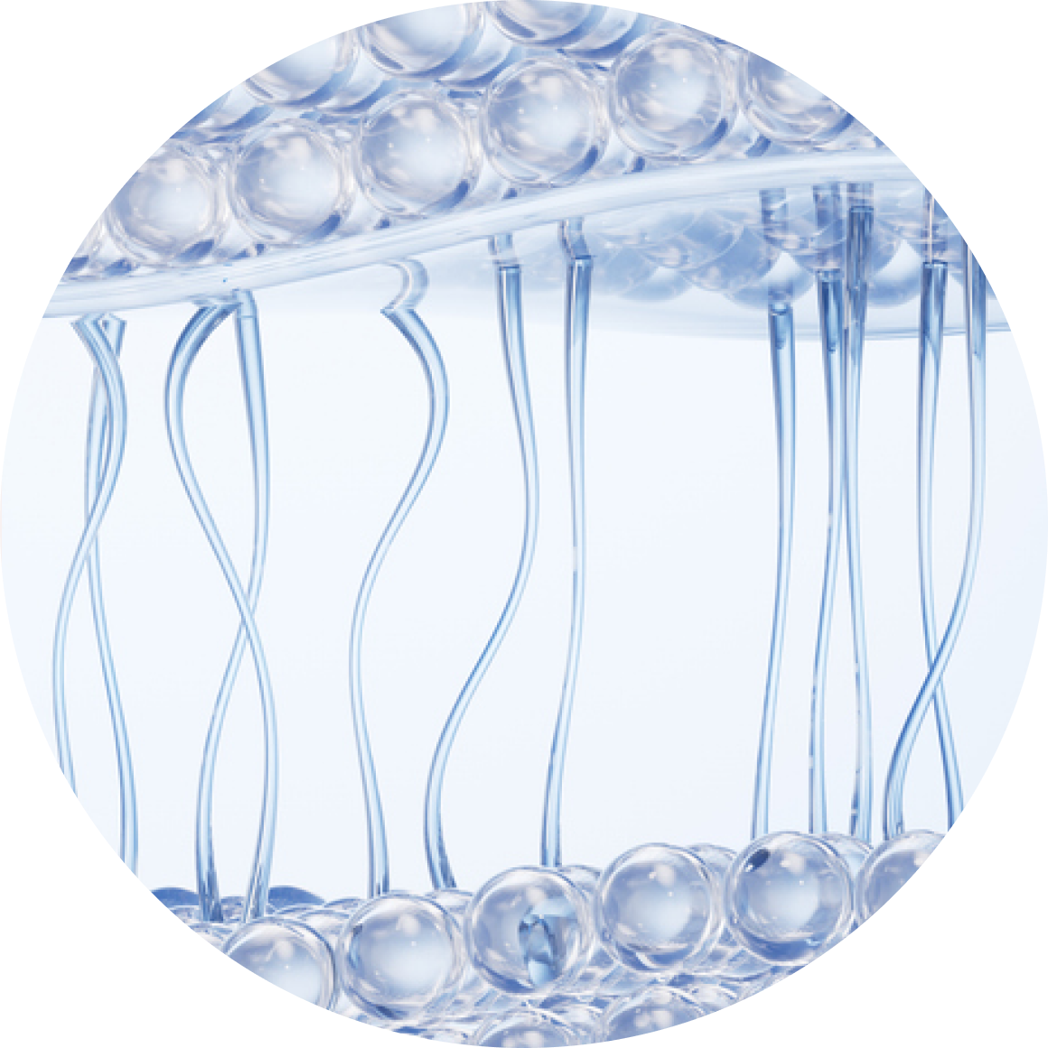 슈링크 포인트3 - 부산 레이저리프팅