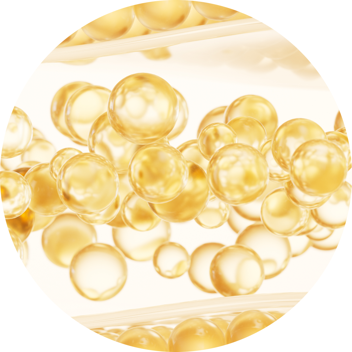 지방흡입 포인트3 - 부산 쁘띠/기타성형