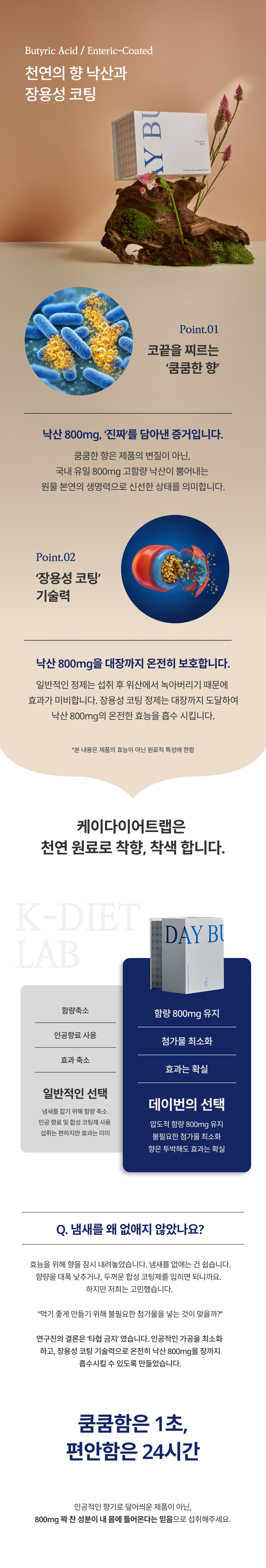 데이번(DAYBURN) 원본