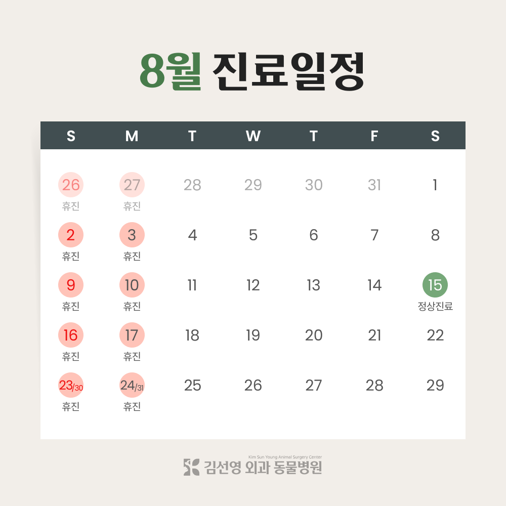 2026년 8월 진료일정 안내