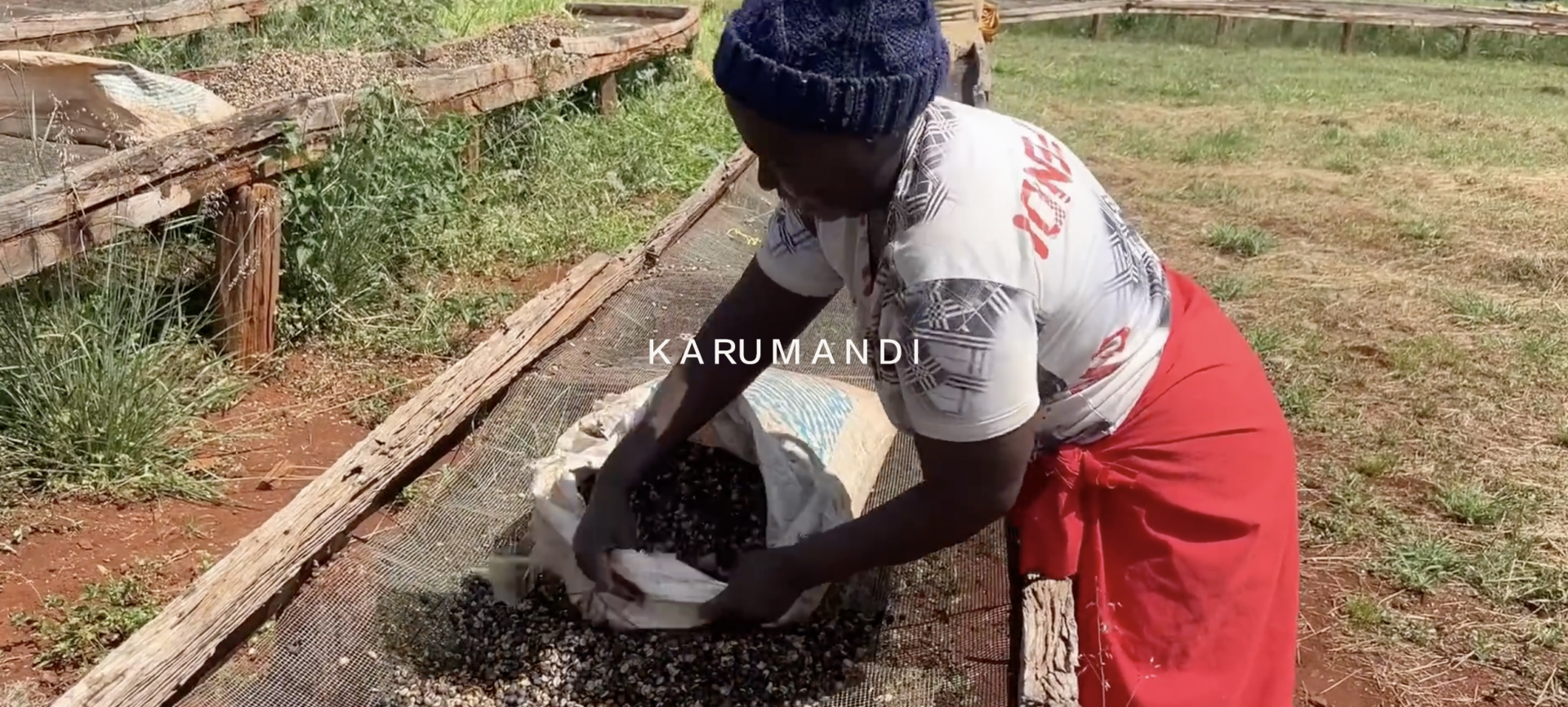 KENYA Karumandi AA Washed