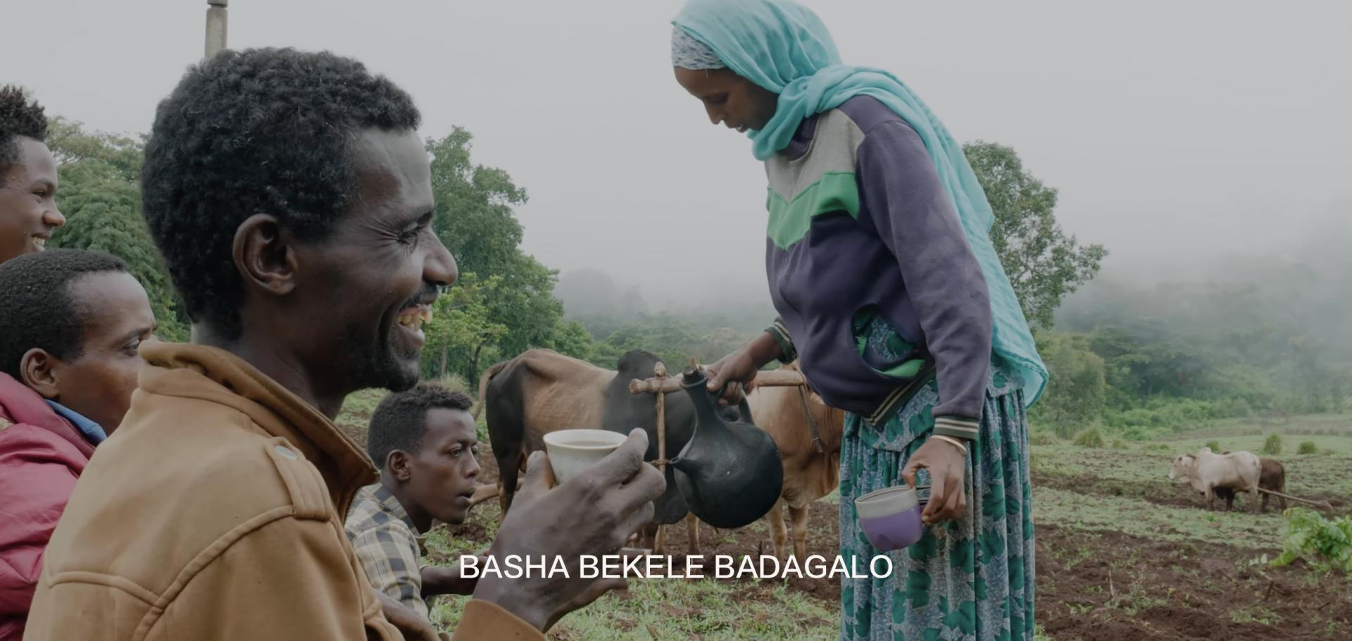 ETHIOPIA Basha Bekele Badagalo Anaerobic Honey