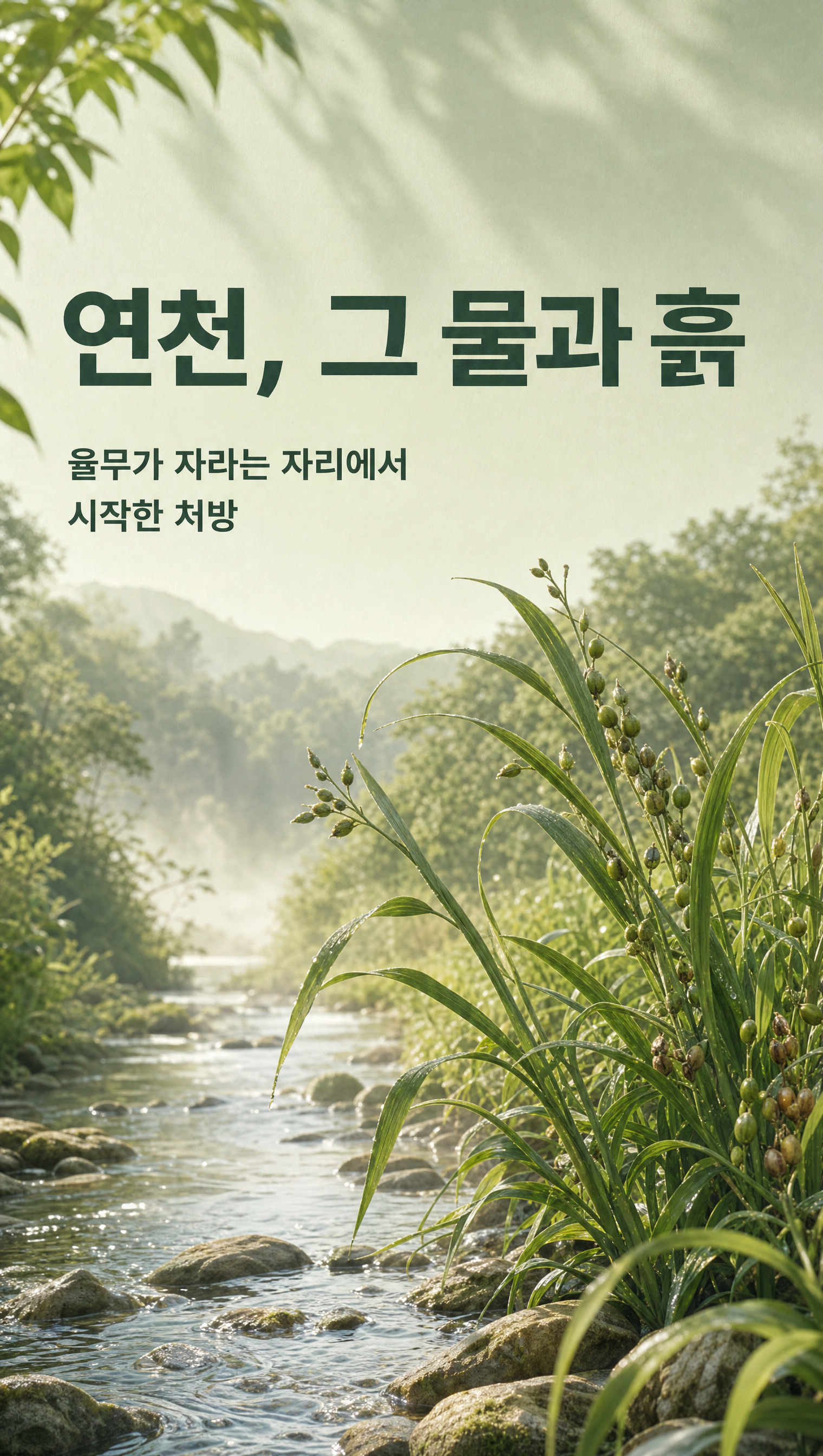 연천율무 토너