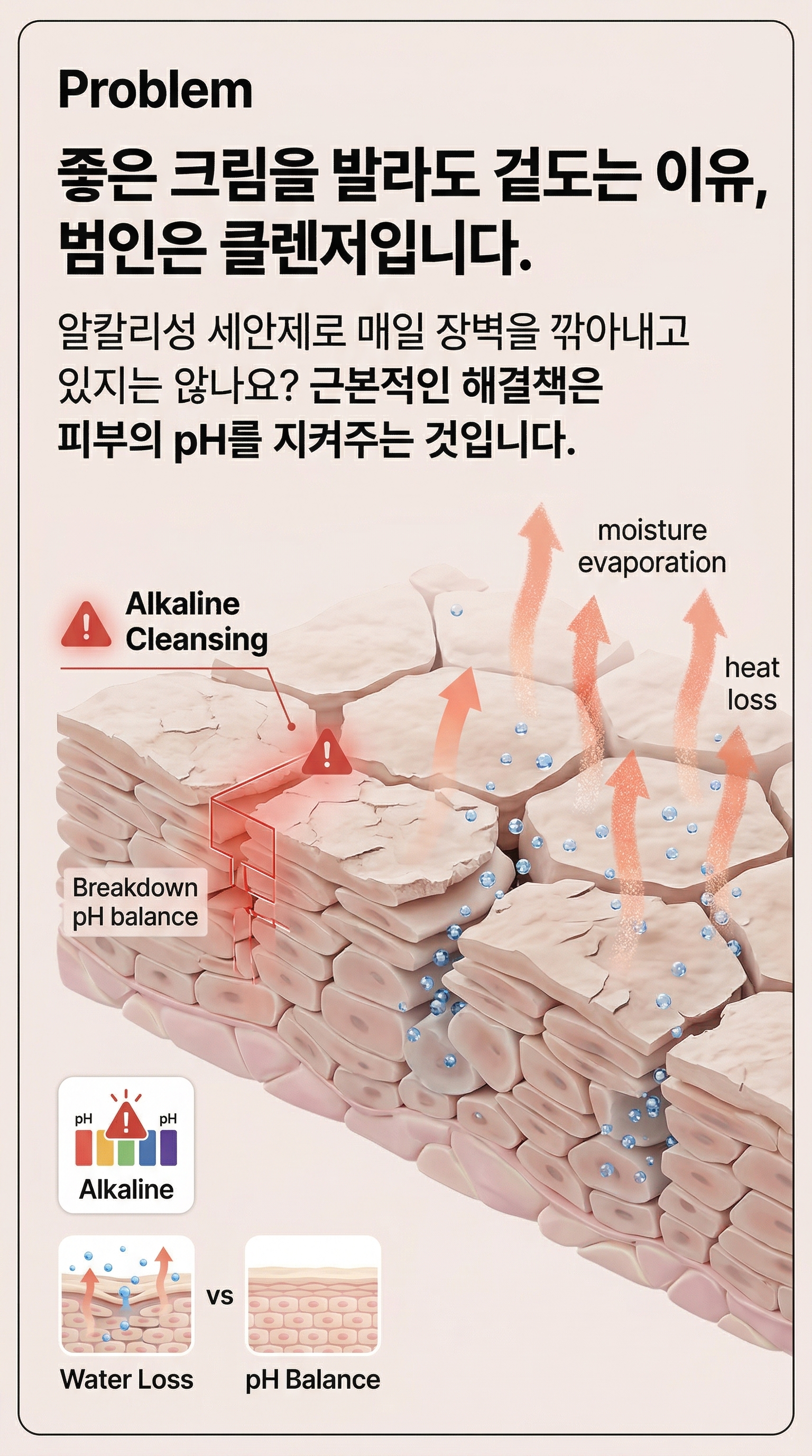 카와카와 모이스쳐 클렌져