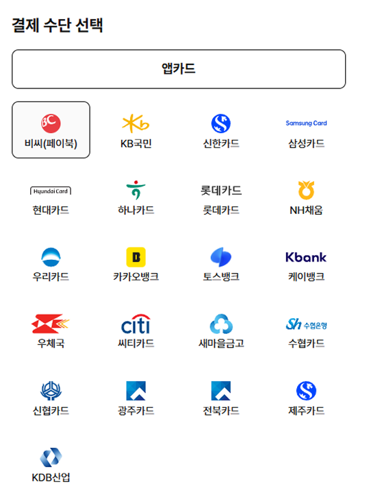 결제 수단