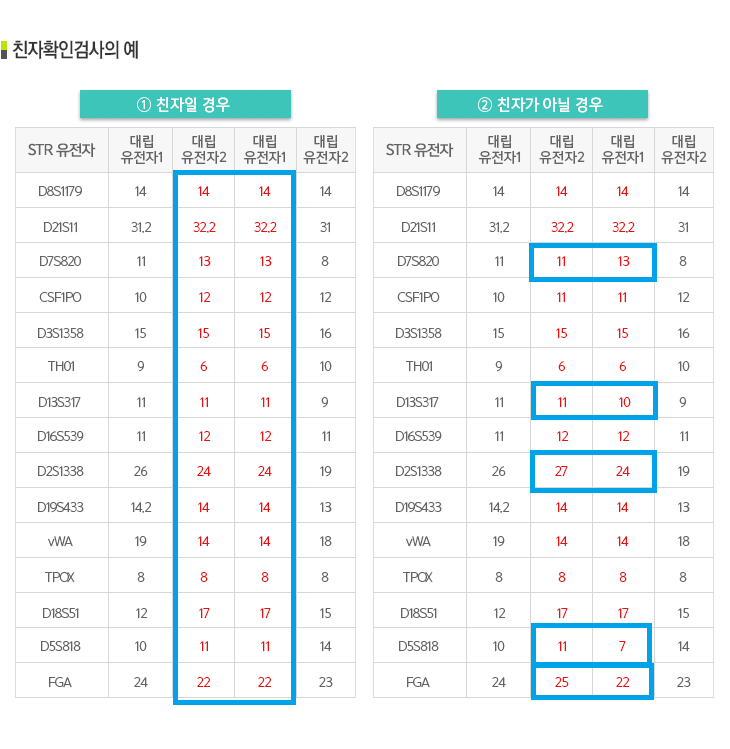 친자확인 검사 결과지