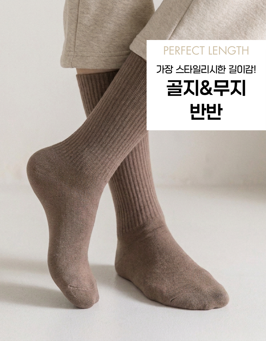 반반이 골지&무지 삭스 5일 세트