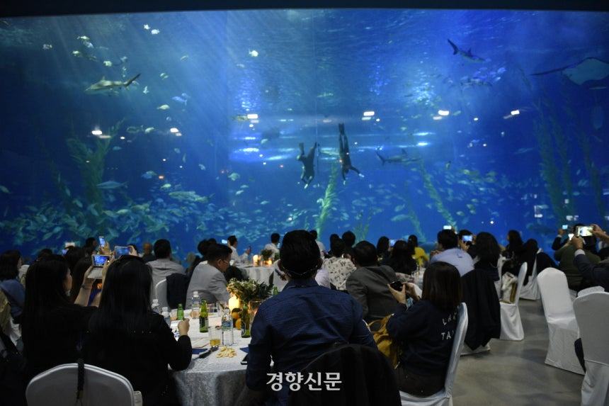 제주 아쿠아플라넷 제주에서 개최한 회의. 제주관광공사 제공