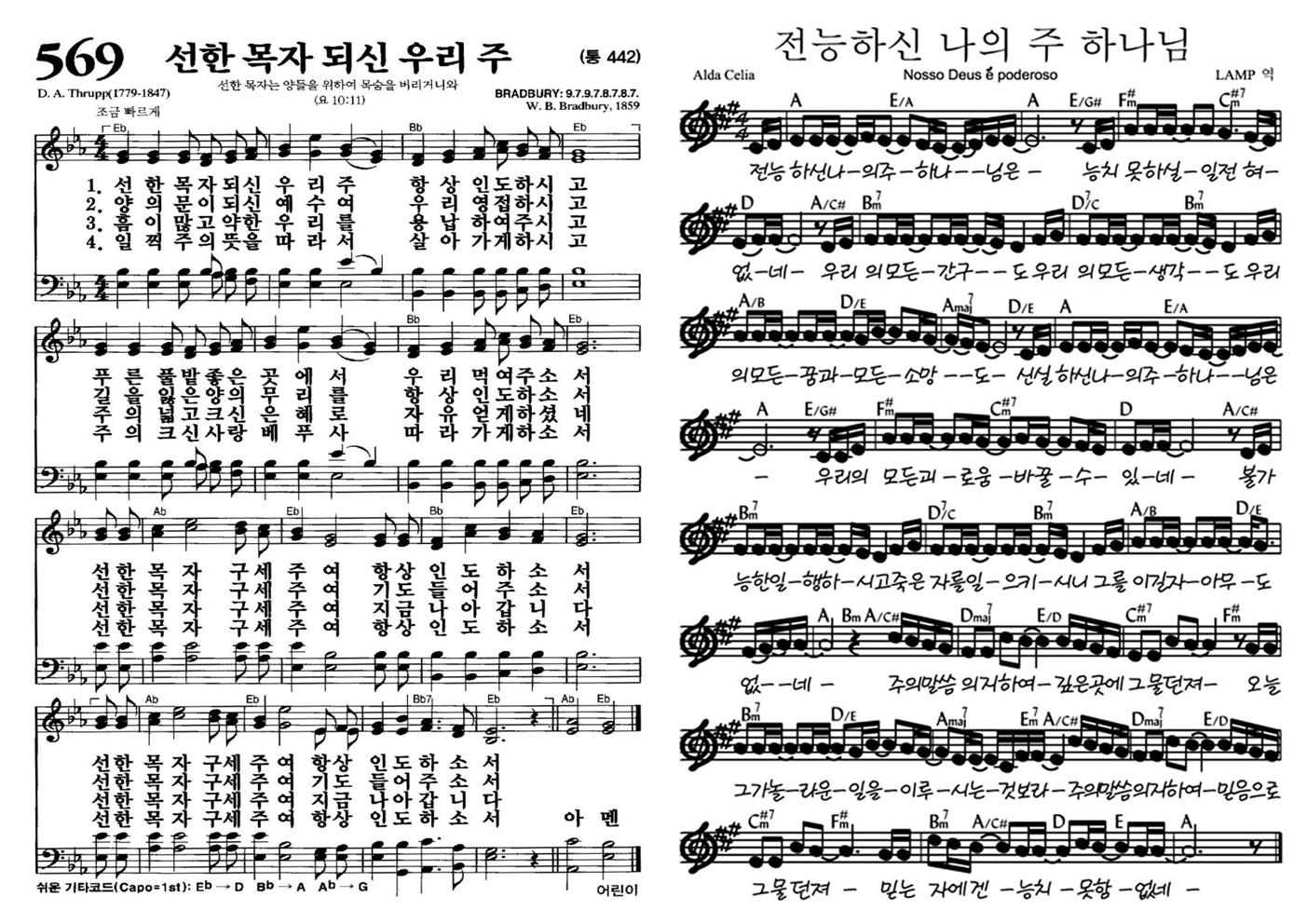 d0f95c3a1919c.jpg
