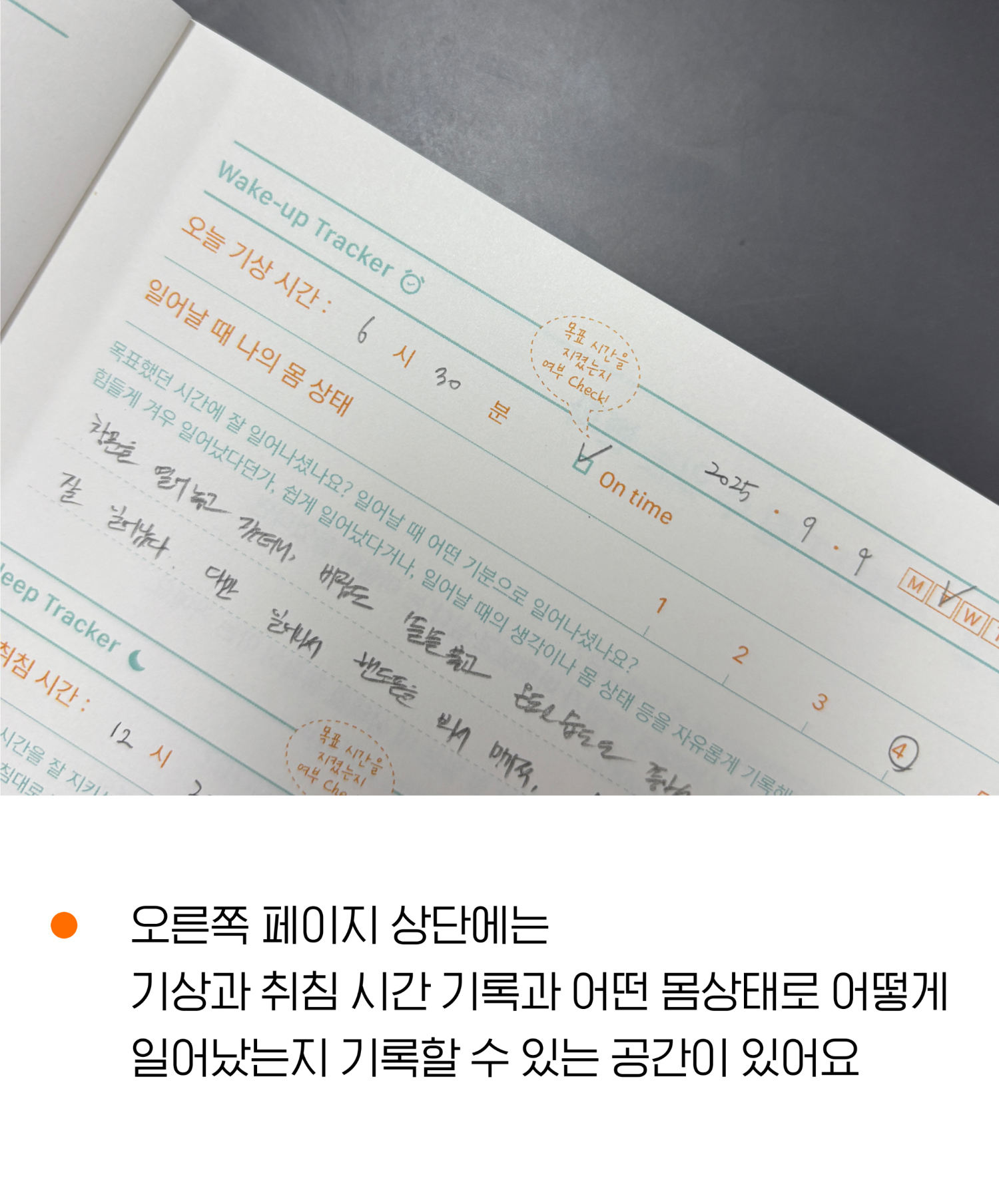 악세사리 상품 이미지-S4L6