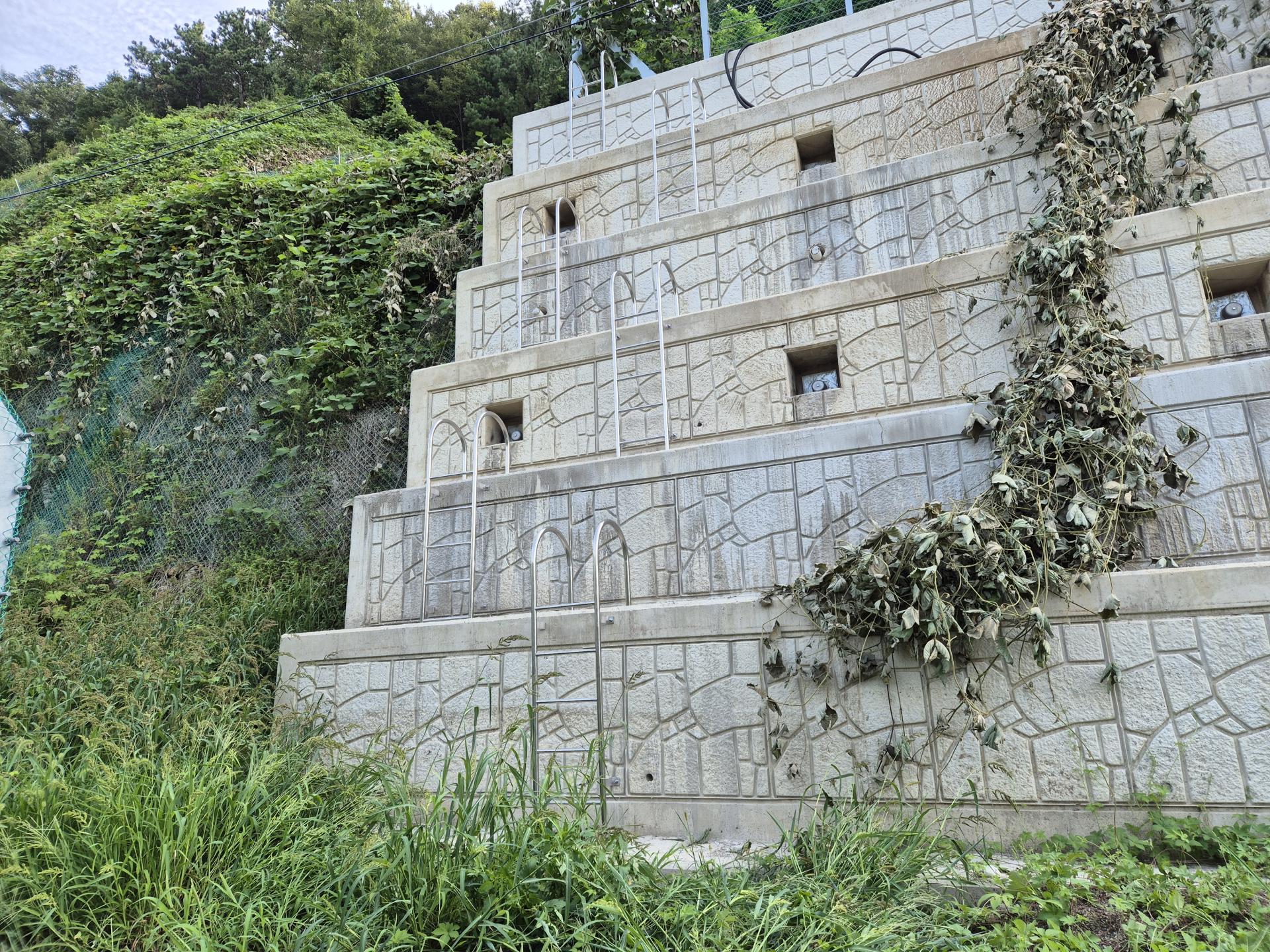 062519623dfca.jpg