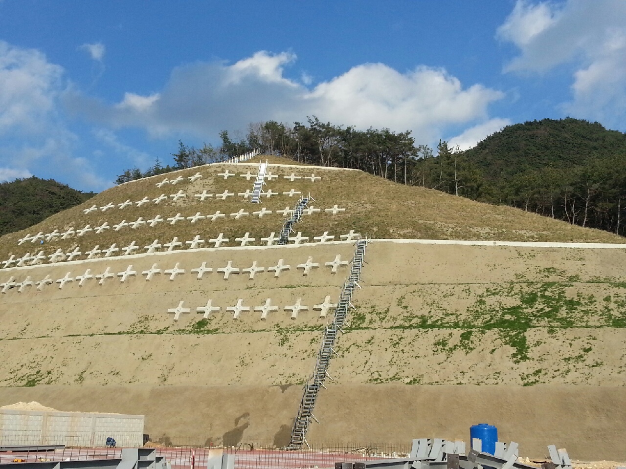 f01aabc04f656.jpg