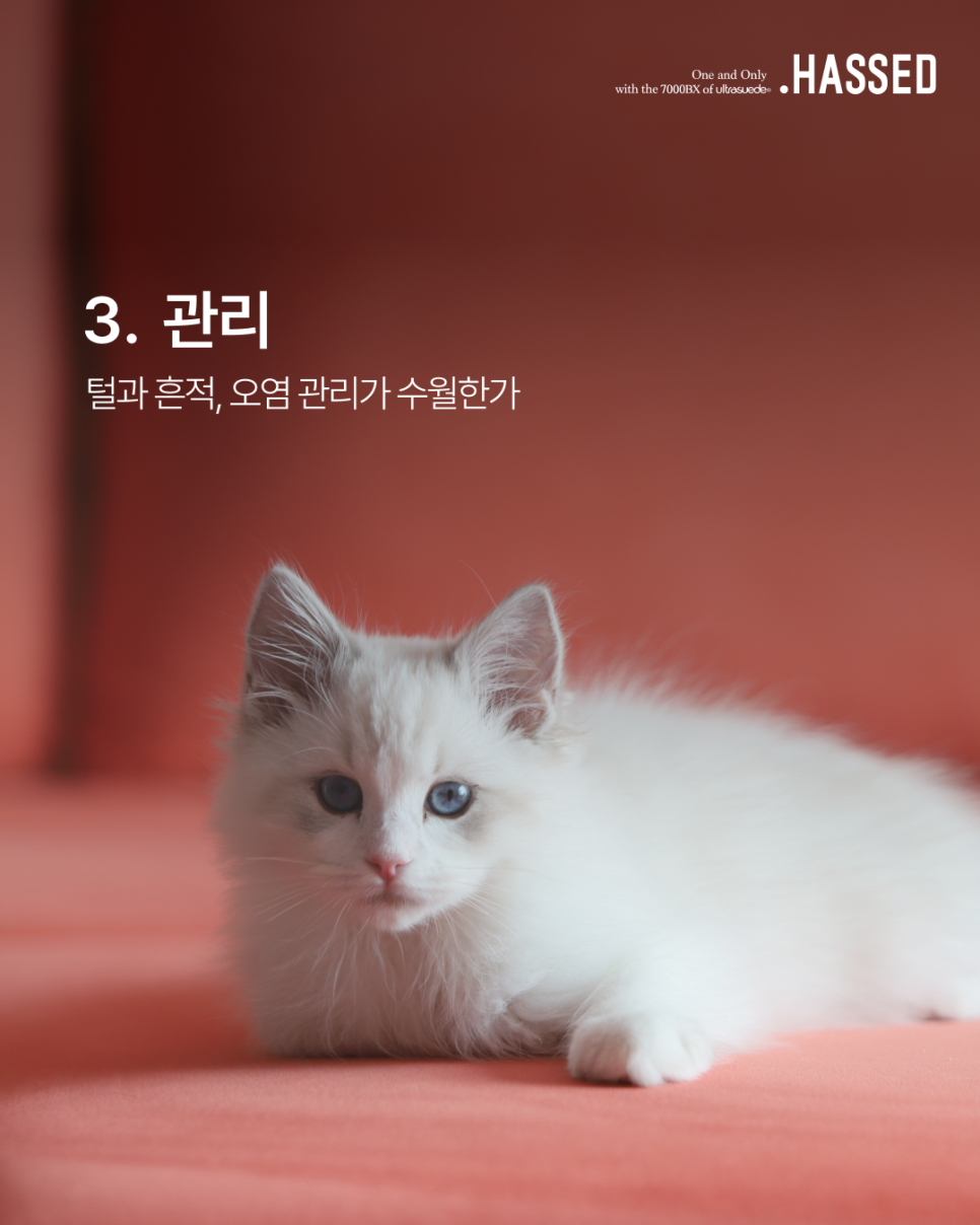 반려동물 털과 생활 오염을 표면에서 정리하는 Original 7000BX 소파 관리
