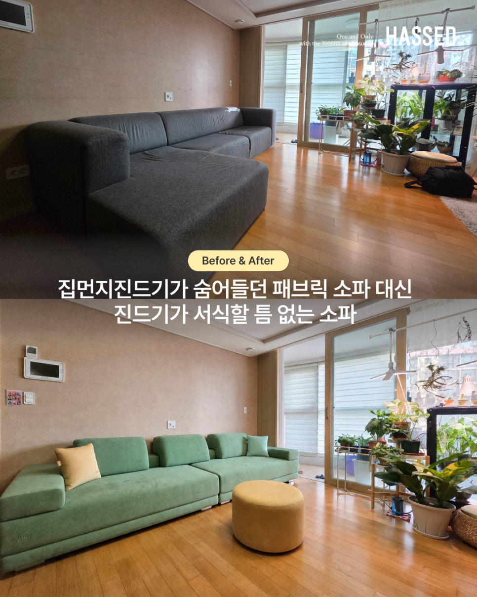 밝은 컬러 소파 교체 전후로 달라진 채광 좋은 거실 인테리어 이미지