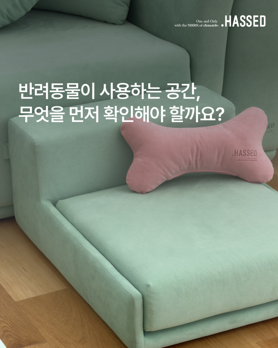 반려동물이 사용하는 공간에서 먼저 확인할 소재 내장재 관리 공간 기준
