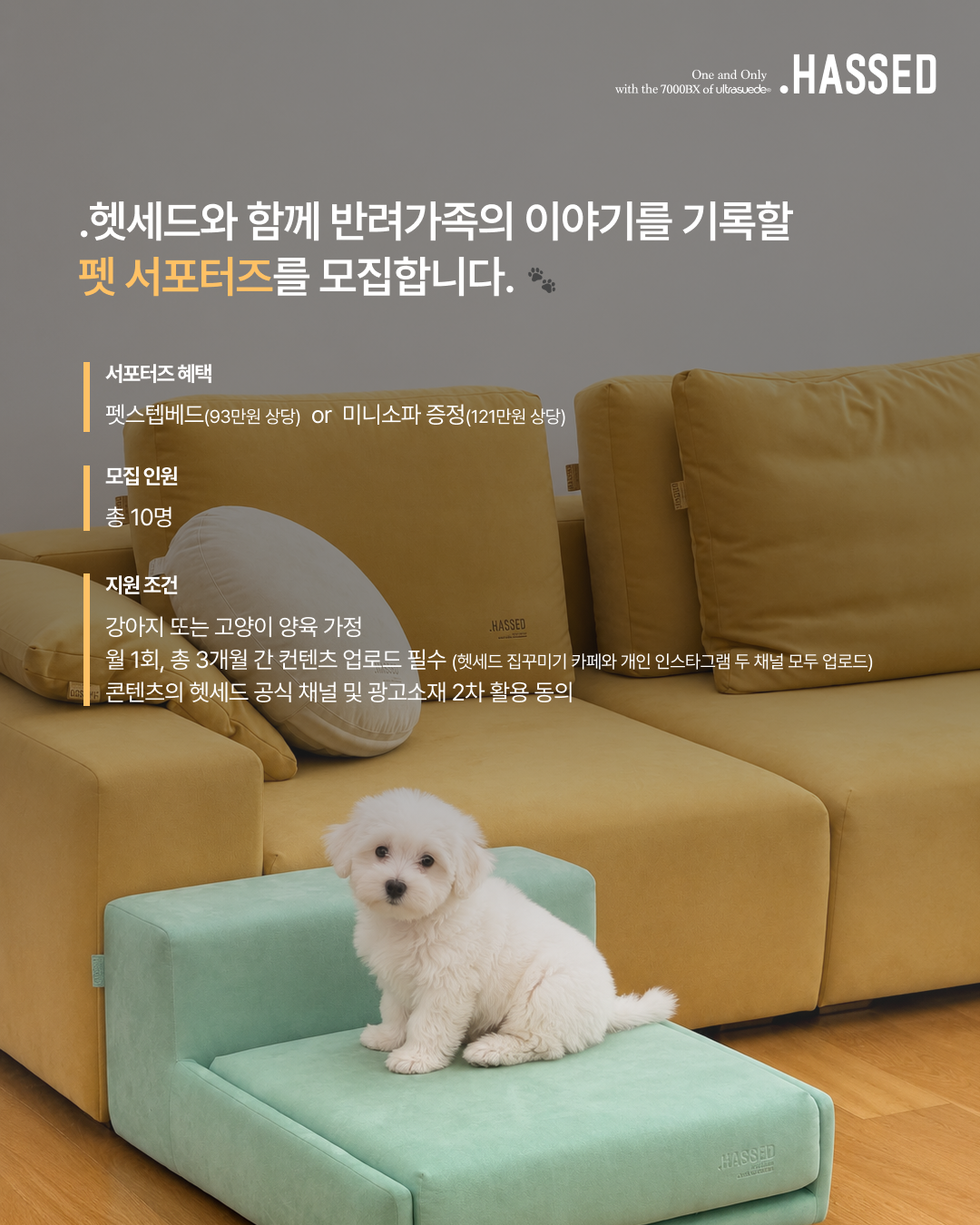 헷세드 PET FAMILY CREW 펫 서포터즈 활동 안내 첫 번째 페이지