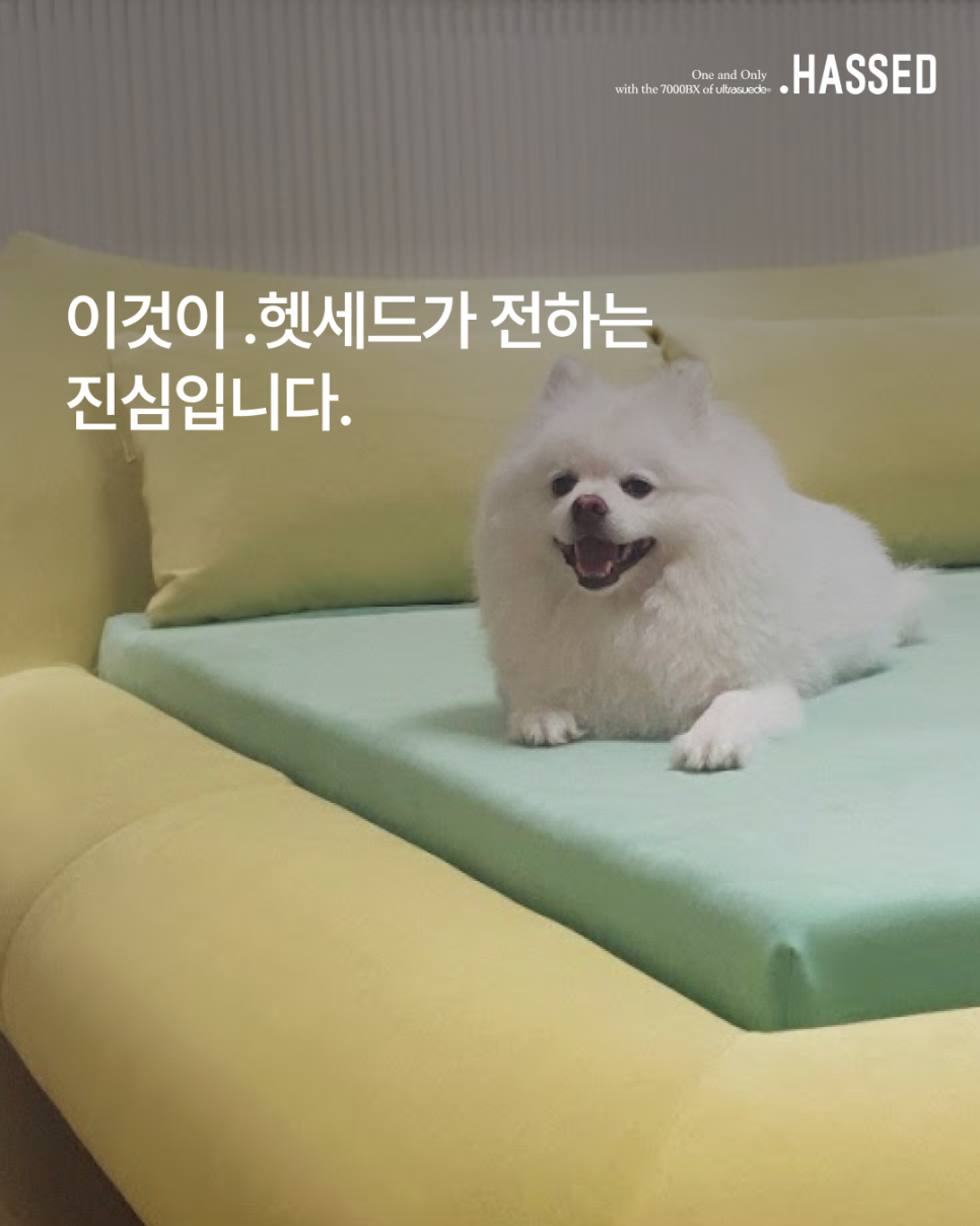 반려동물과 가족이 함께 몸을 맡기고 쉬는 헷세드 거실 소파의 안식처 장면